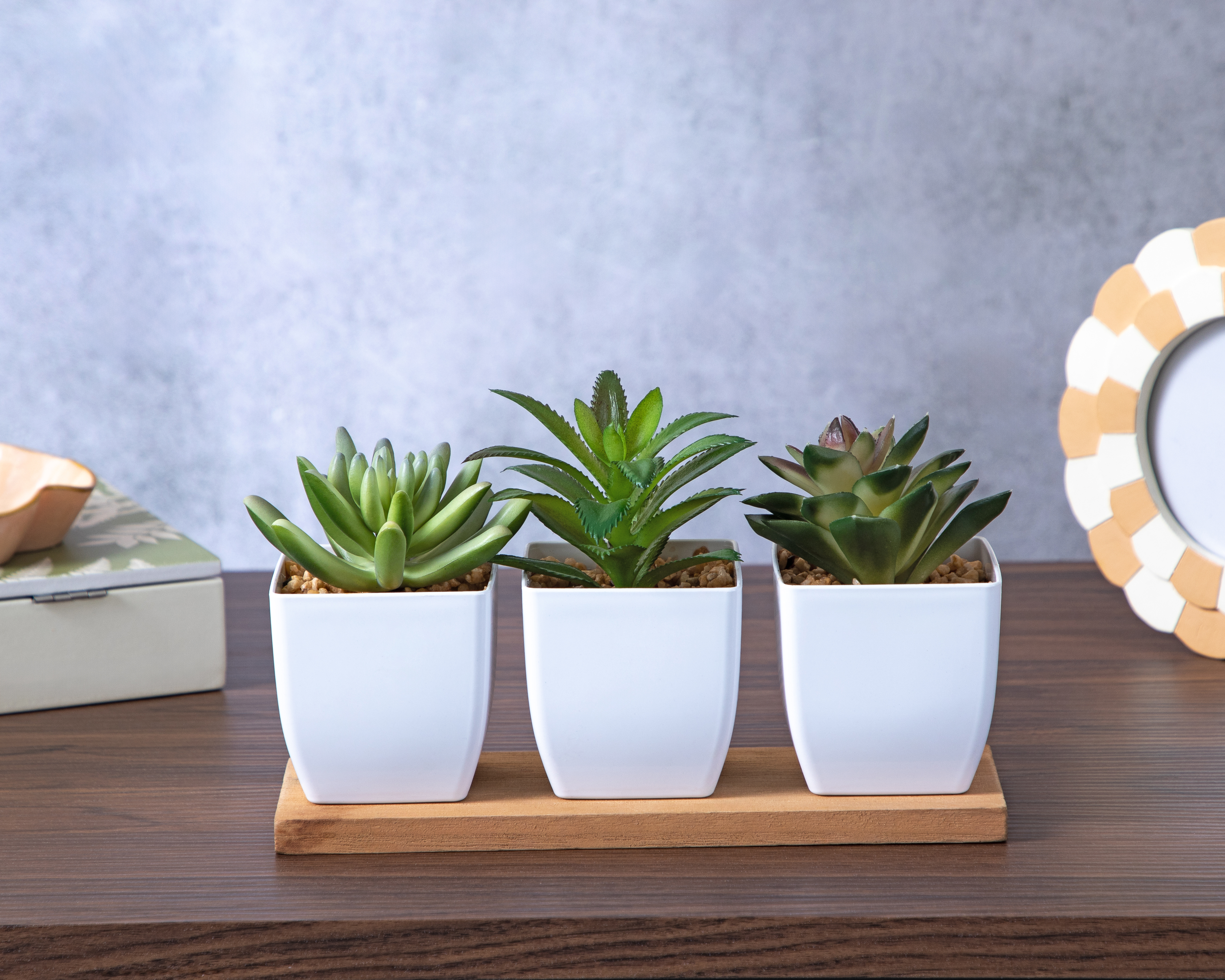 Foto 4 | Foto 4 | Suculenta Artificial con Maceta Starhaus 13 cm 3 Piezas