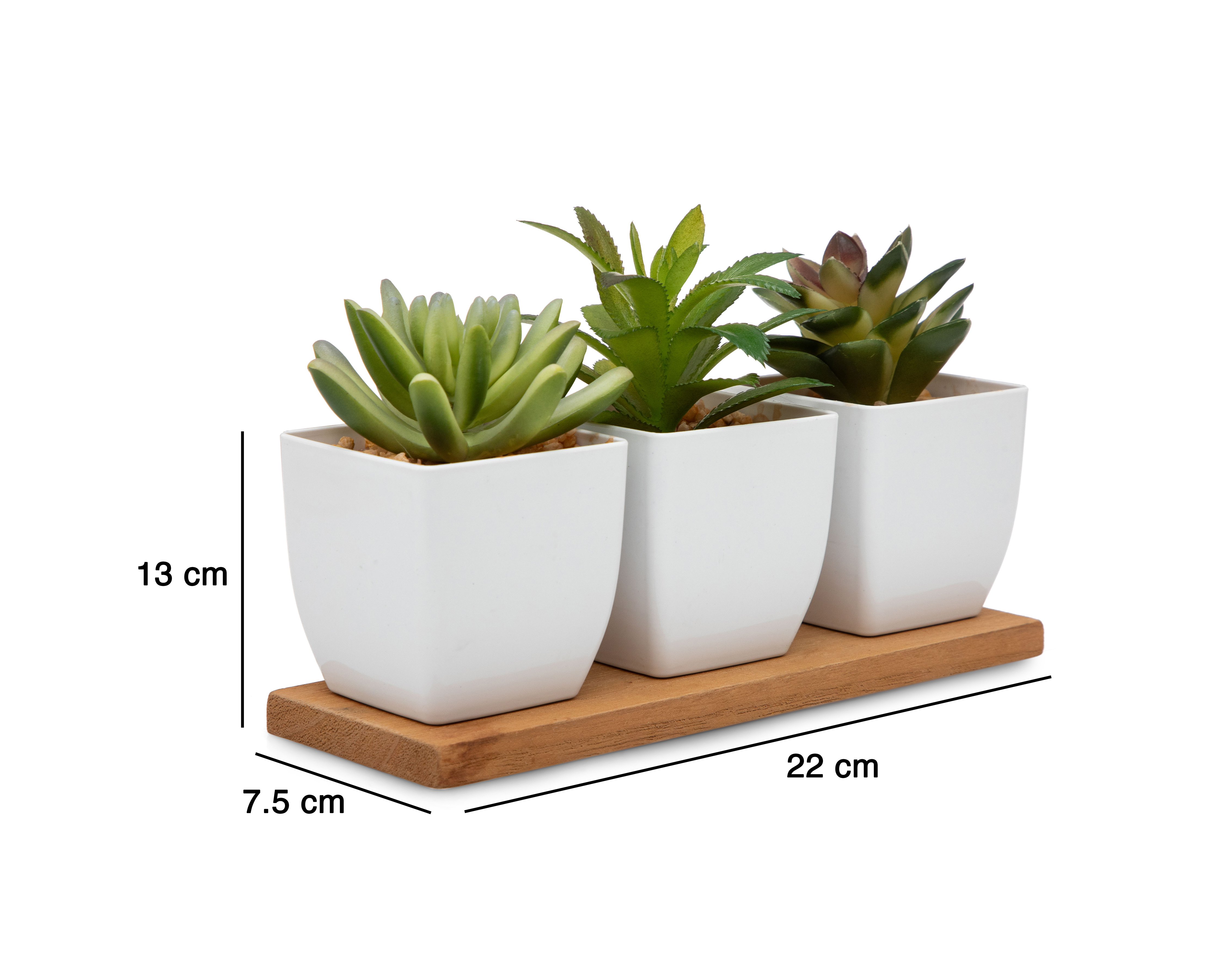 Foto 5 | Foto 5 | Suculenta Artificial con Maceta Starhaus 13 cm 3 Piezas