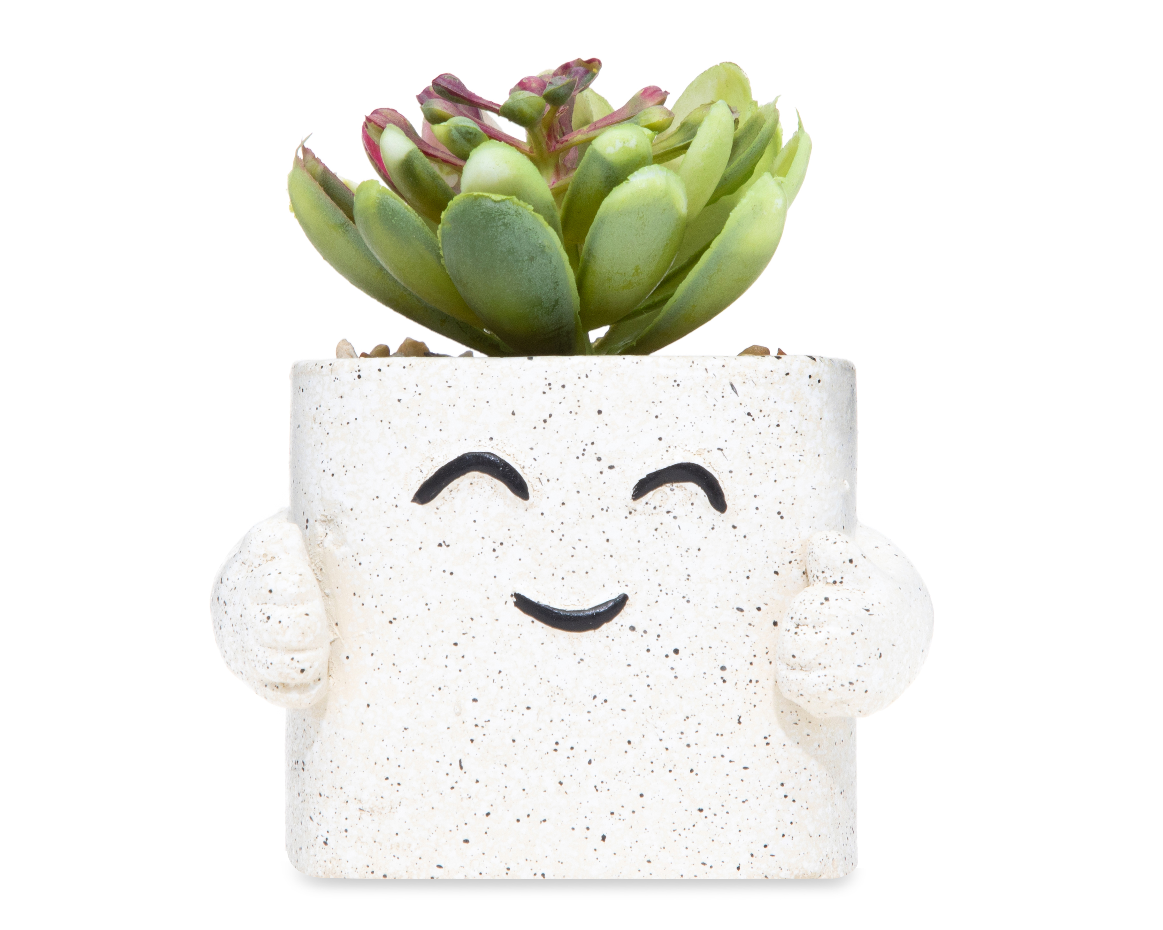 Suculenta Artificial con Maceta Starhaus 9 cm