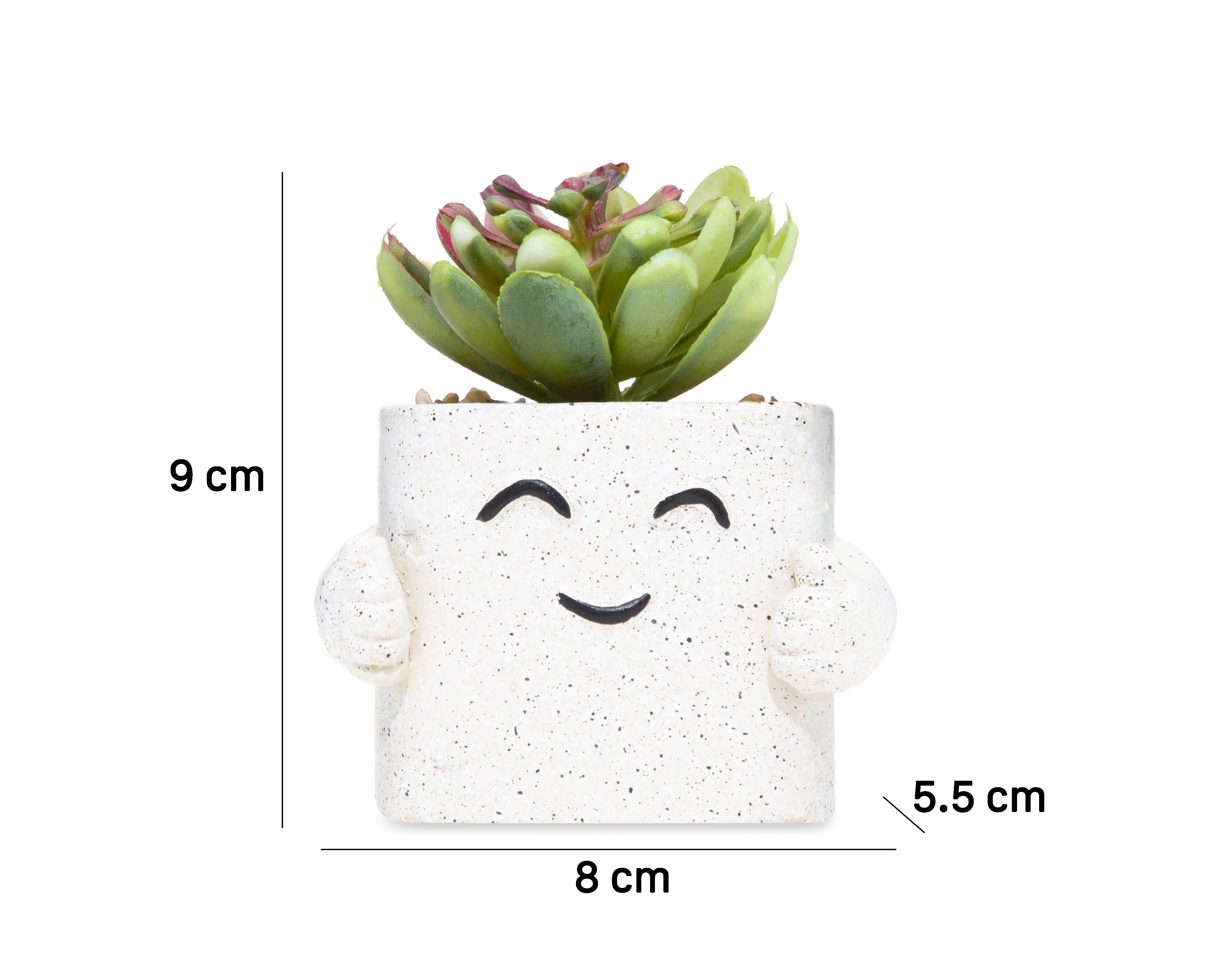 Foto 5 | Foto 5 | Suculenta Artificial con Maceta Starhaus 9 cm
