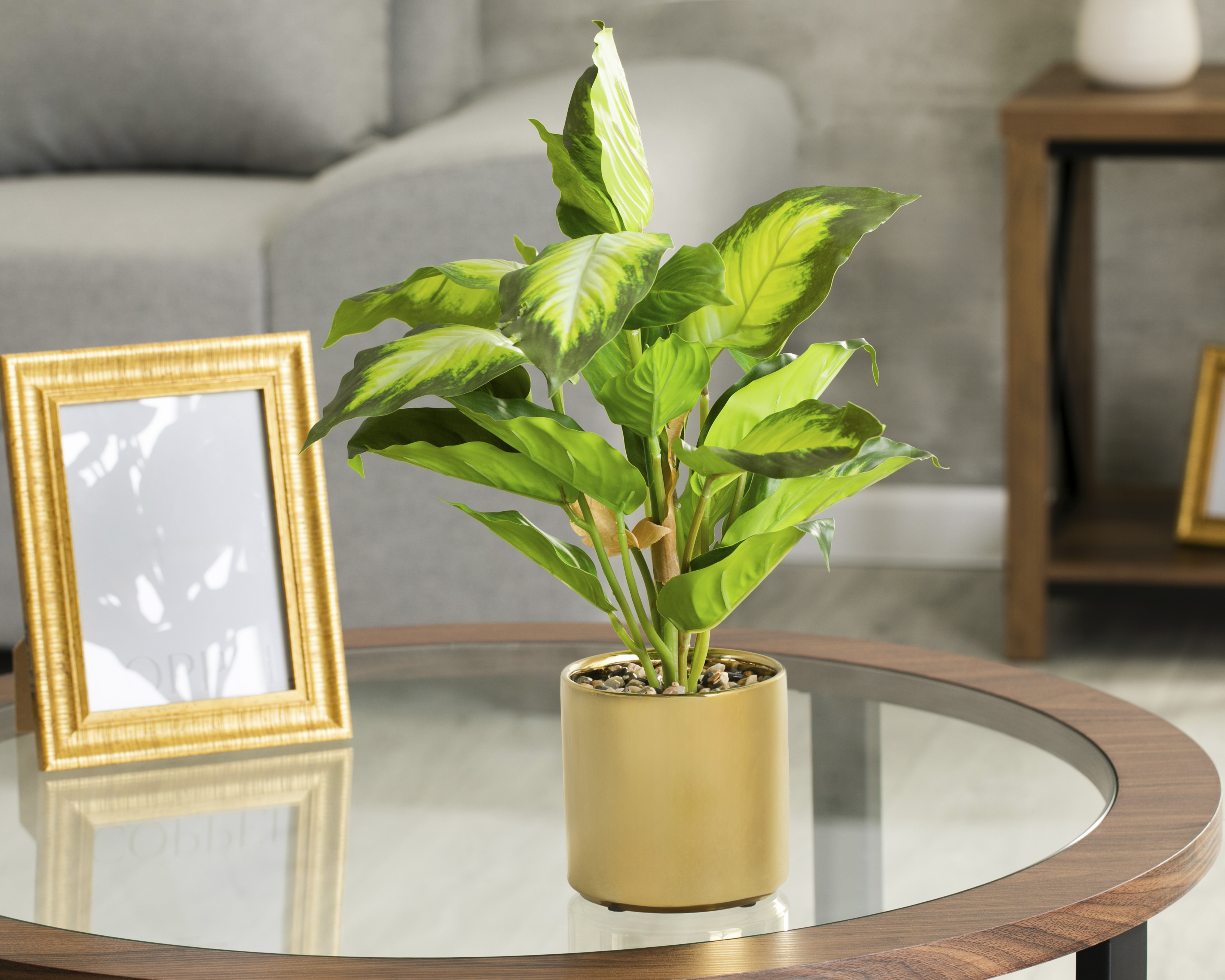 Foto 4 | Foto 4 | Camila Artificial con Maceta Starhaus 38 cm