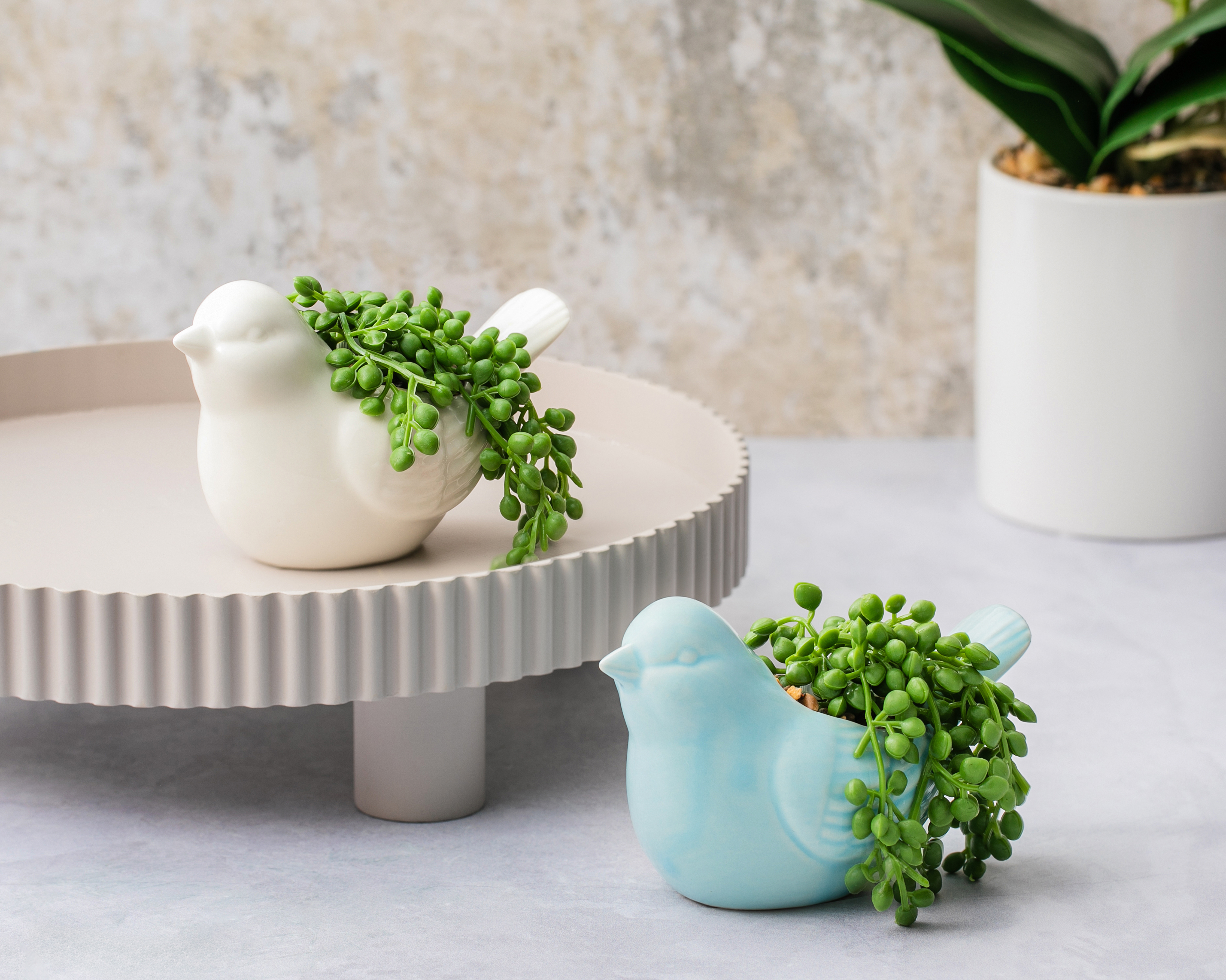 Foto 4 | Foto 4 | Suculenta Rosario Artificial con Maceta Starhaus 8 cm