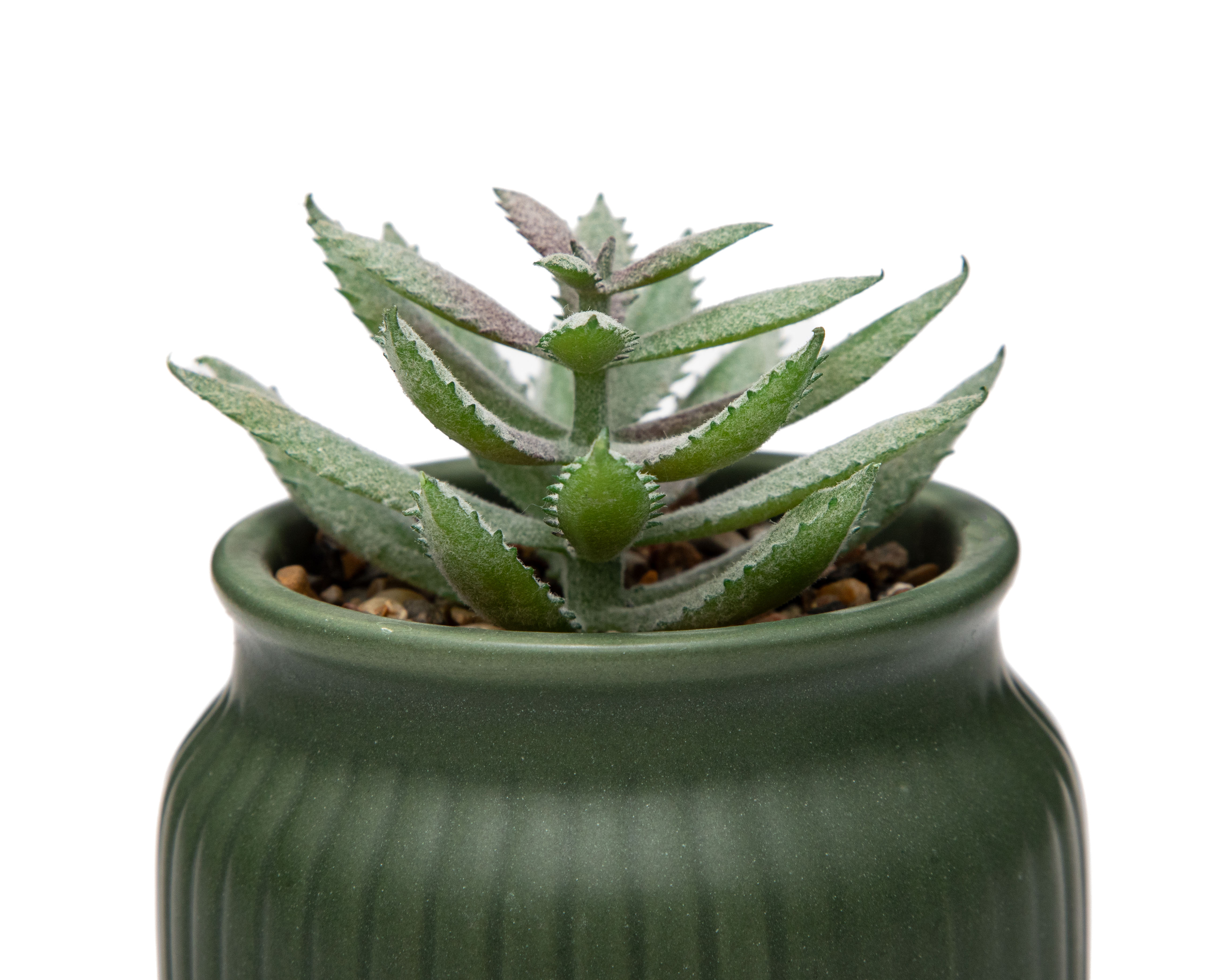 Foto 4 pulgar | Foto 3 | Suculenta Artificial con Maceta Starhaus 9 cm