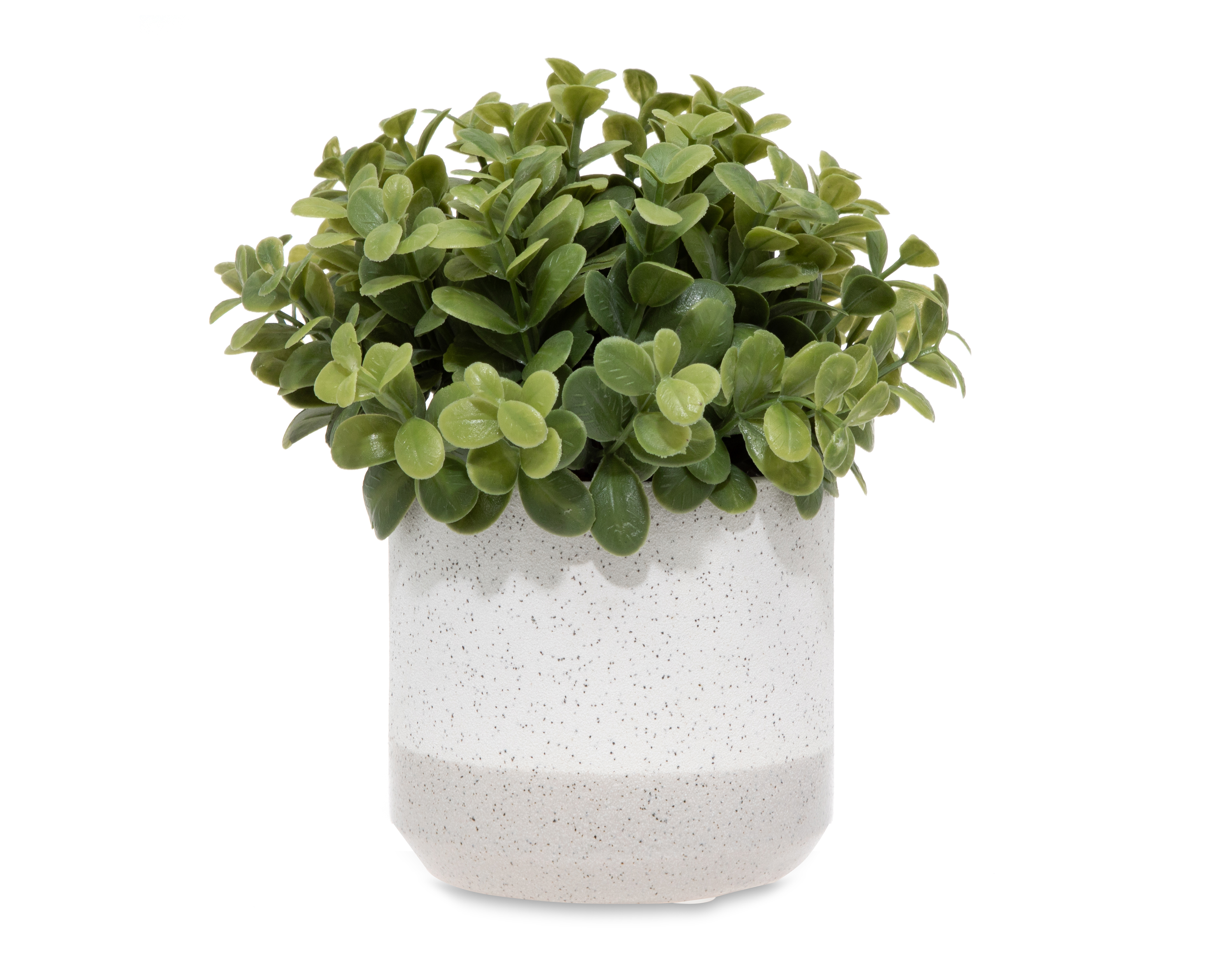Callisa Artificial con Maceta Starhaus 19 cm