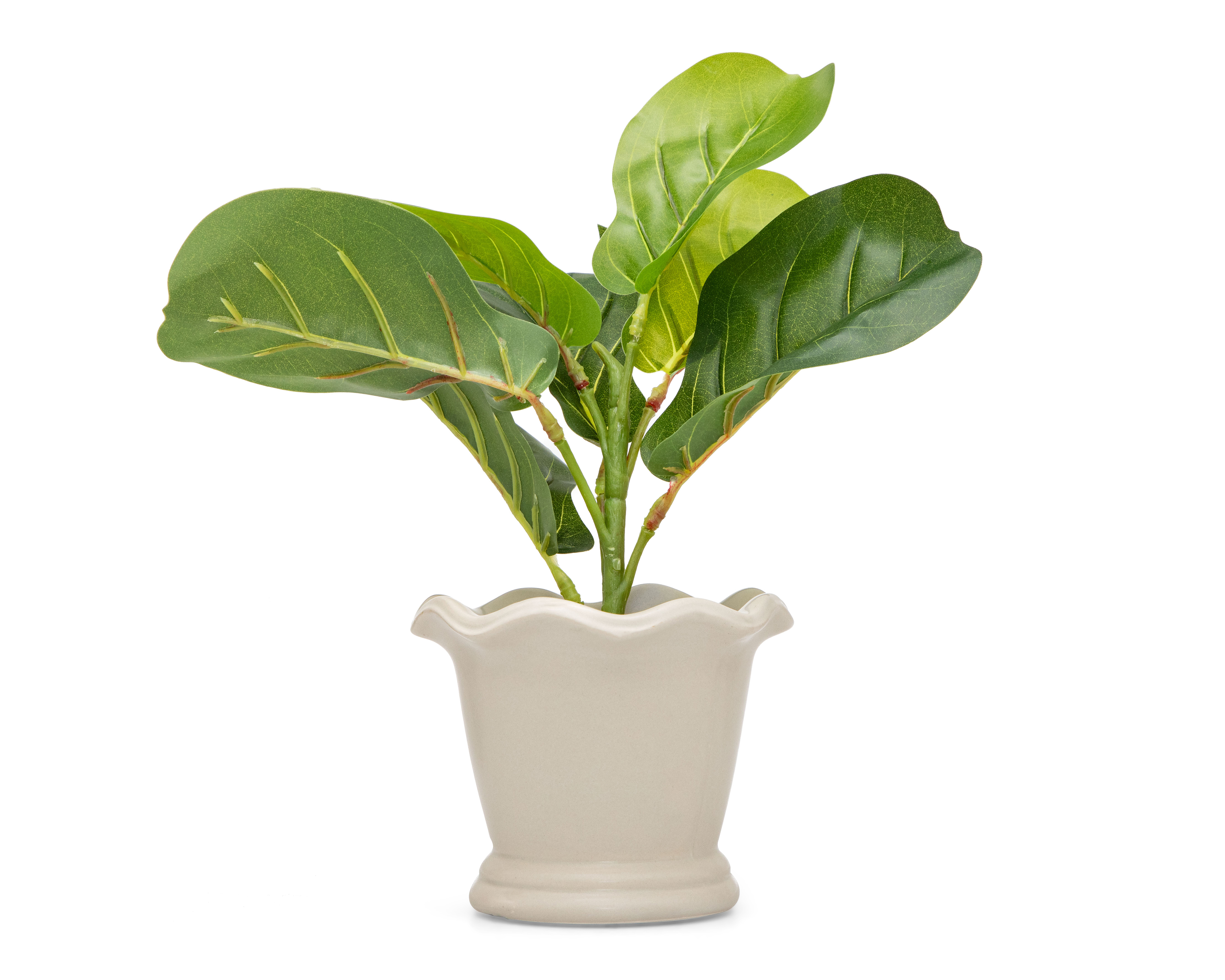 Foto 2 pulgar | Foto 1 | Ficus Artificial con Maceta Starhaus 32 cm