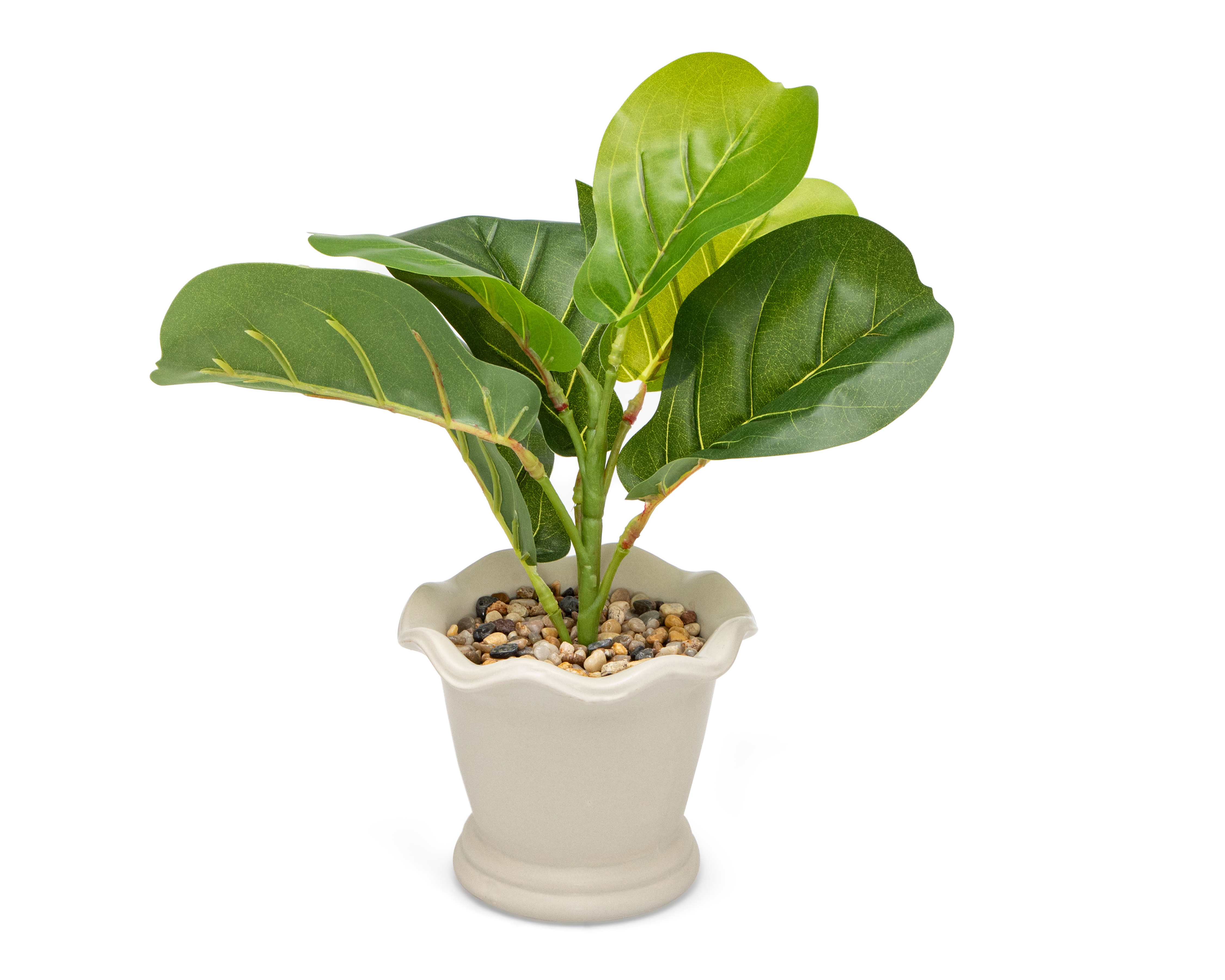 Foto 3 pulgar | Foto 2 | Ficus Artificial con Maceta Starhaus 32 cm