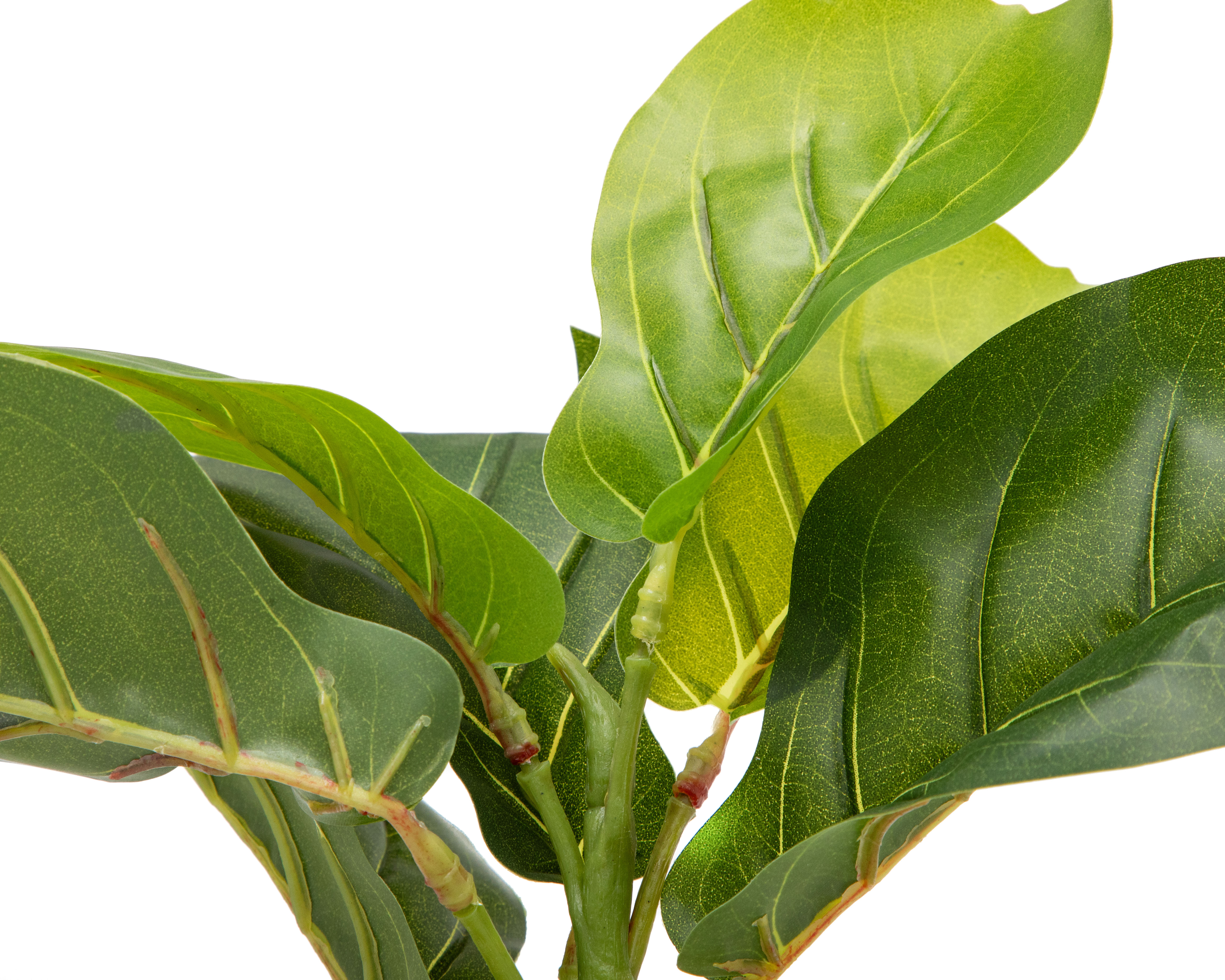 Foto 4 pulgar | Foto 3 | Ficus Artificial con Maceta Starhaus 32 cm