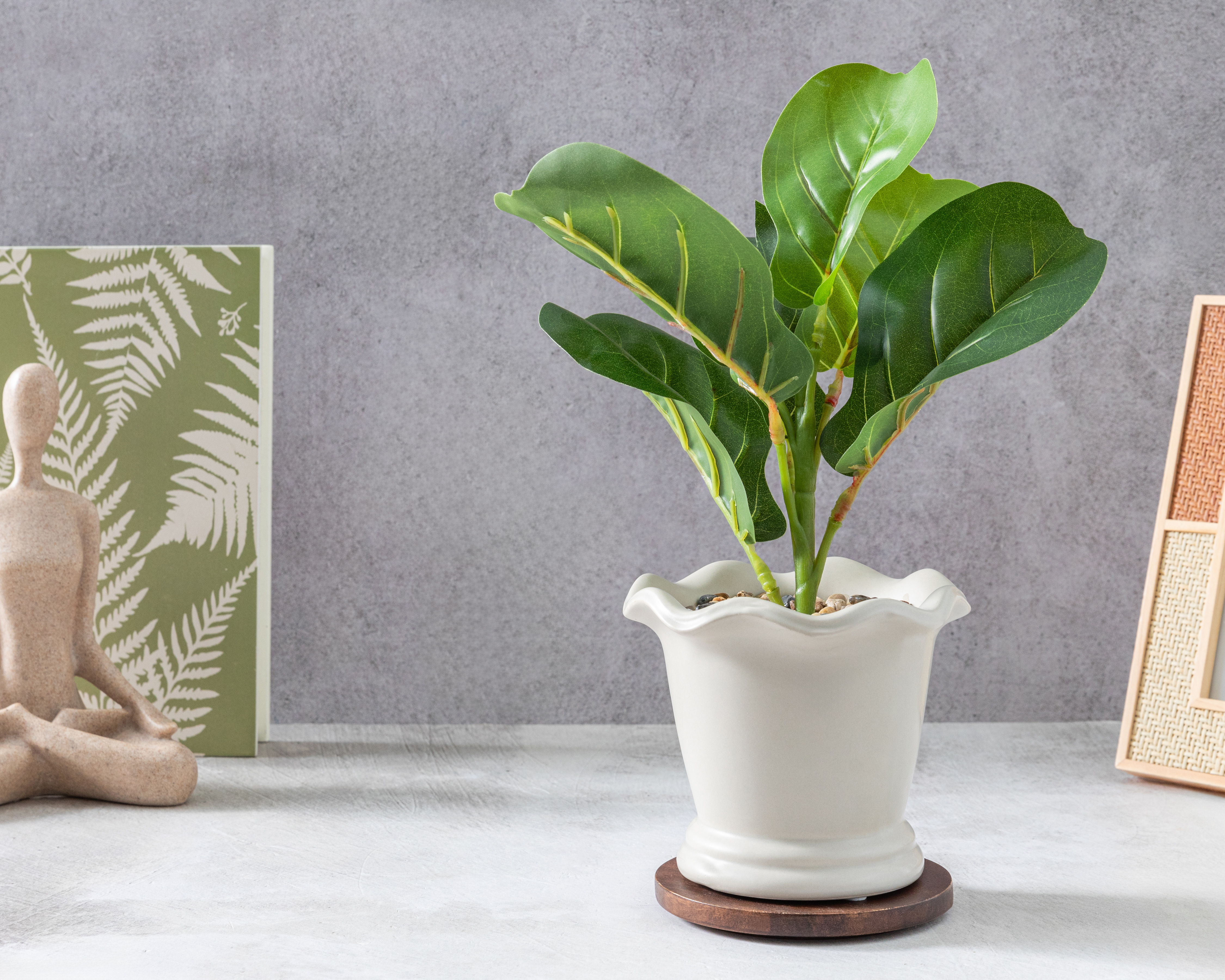 Foto 4 | Foto 4 | Ficus Artificial con Maceta Starhaus 32 cm