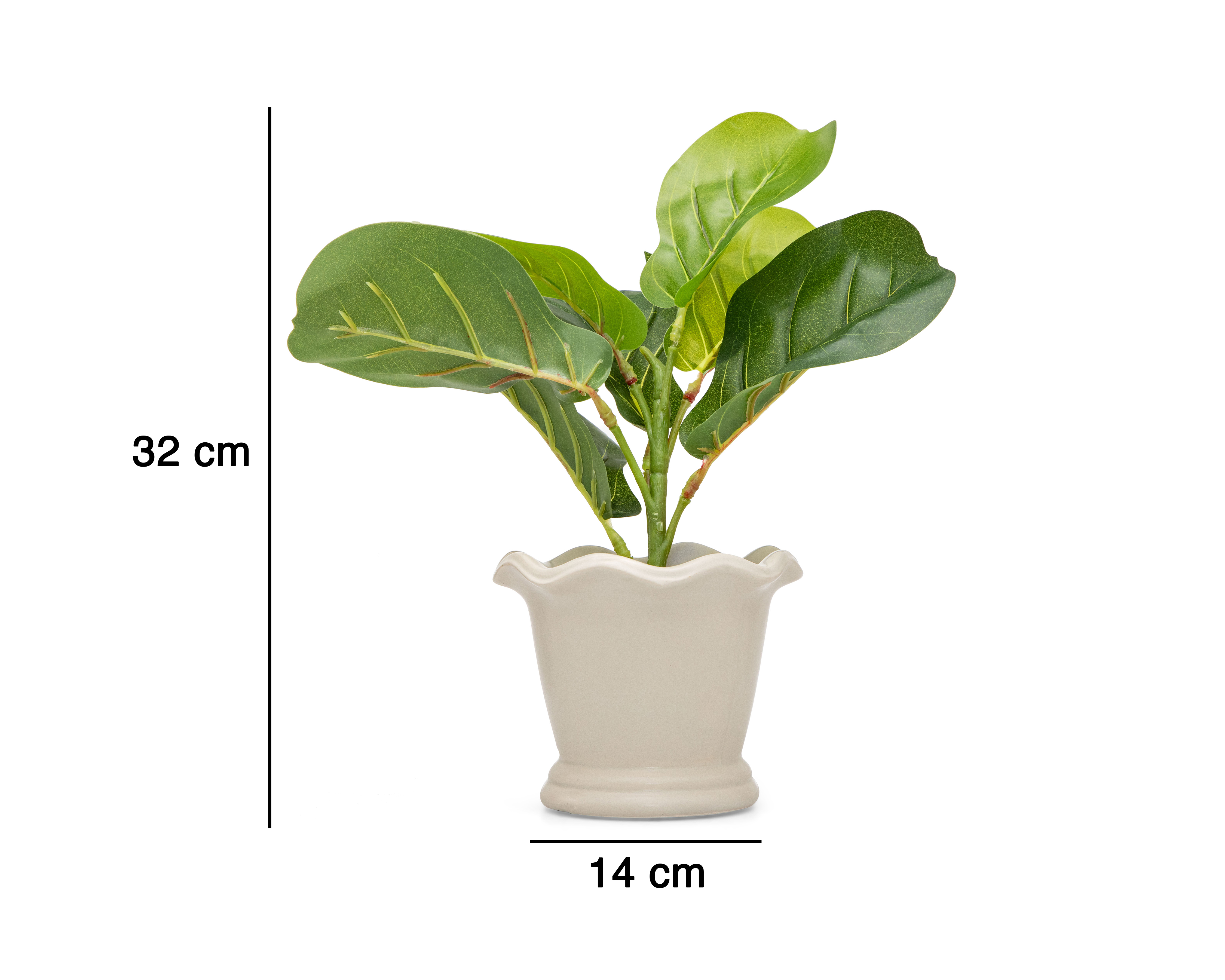 Foto 6 pulgar | Foto 5 | Ficus Artificial con Maceta Starhaus 32 cm