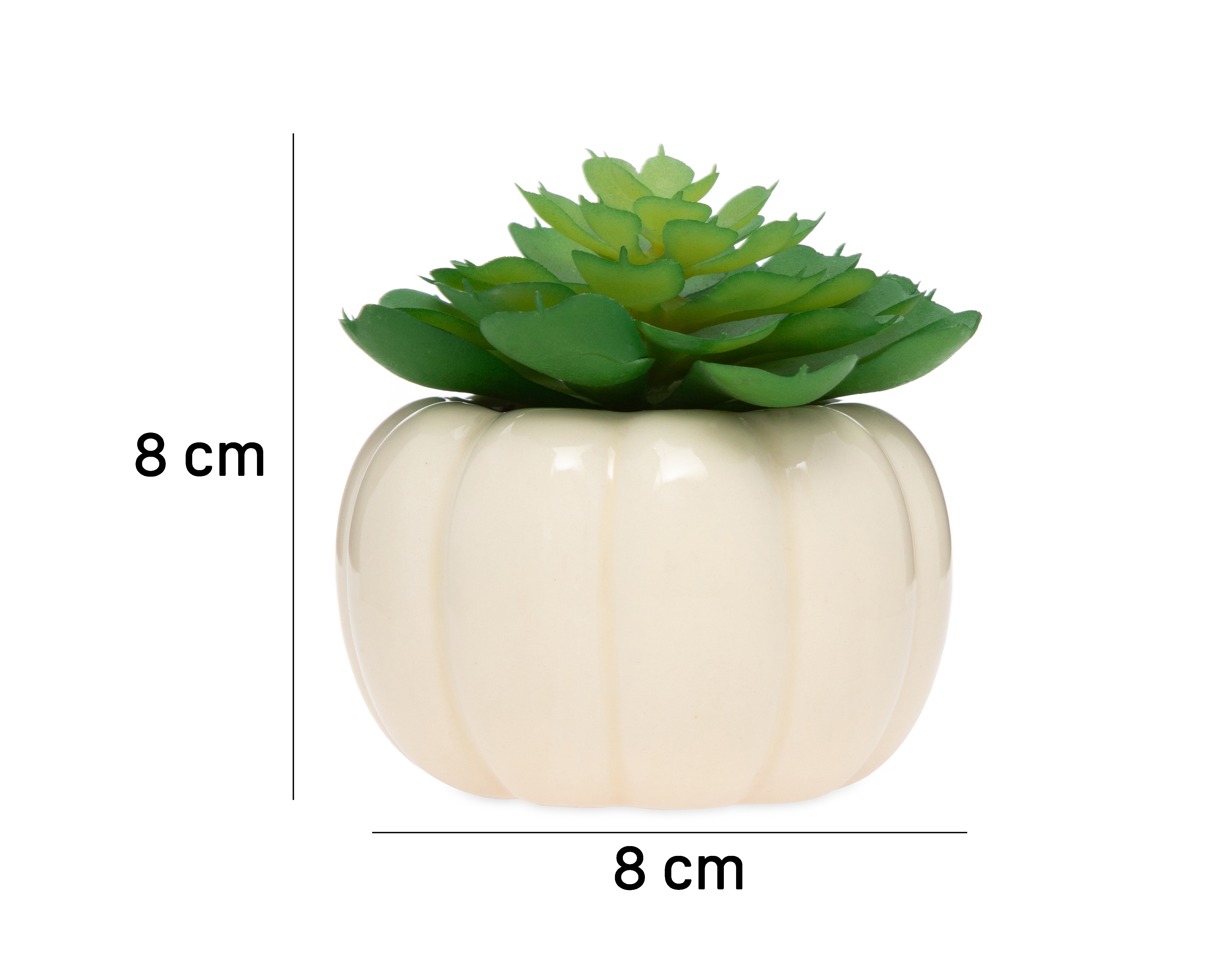 Foto 5 | Foto 5 | Suculenta Artificial con Maceta Starhaus 8 cm