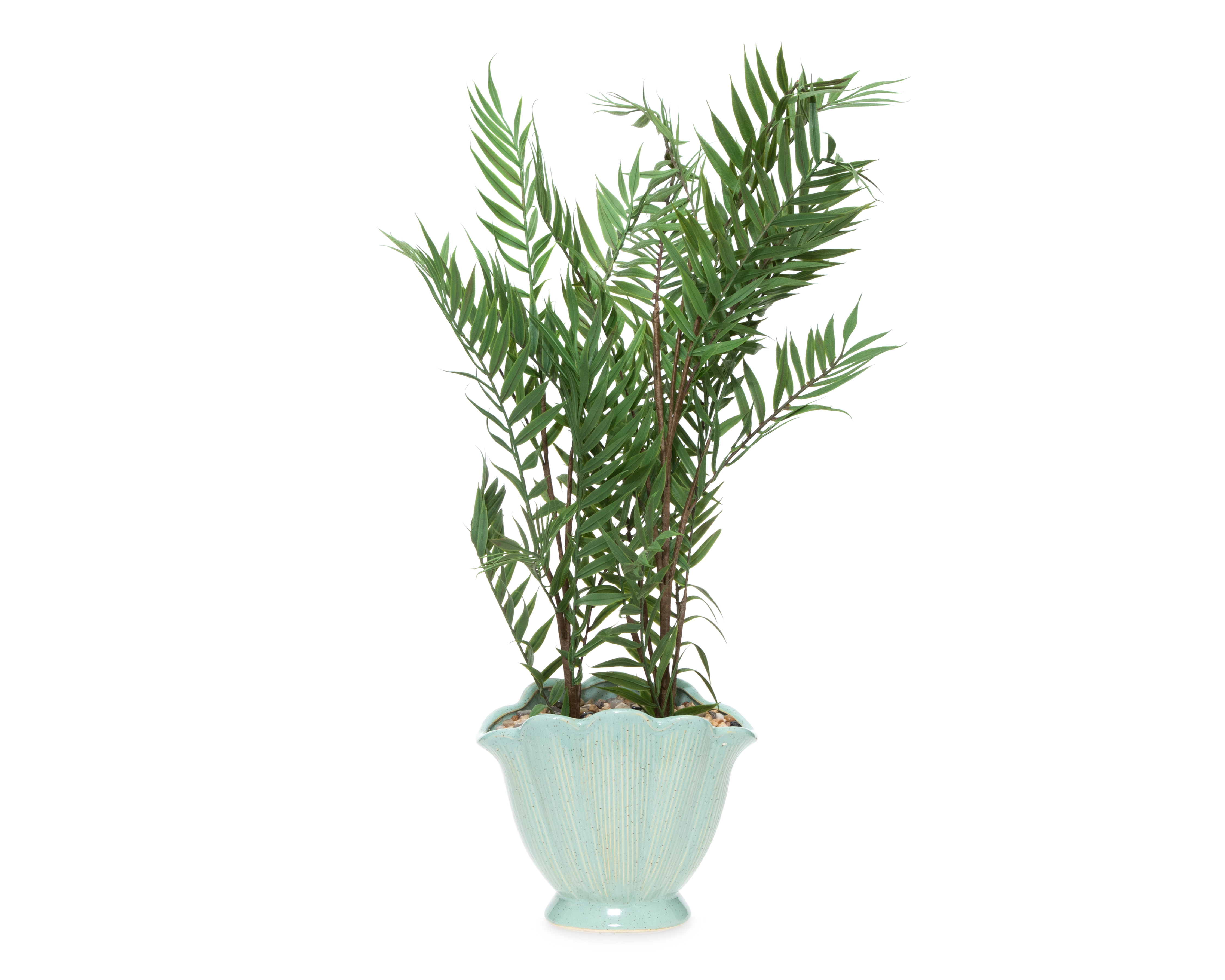 Foto 1 | Foto 1 | Palma Artificial con Maceta Starhaus 56 cm