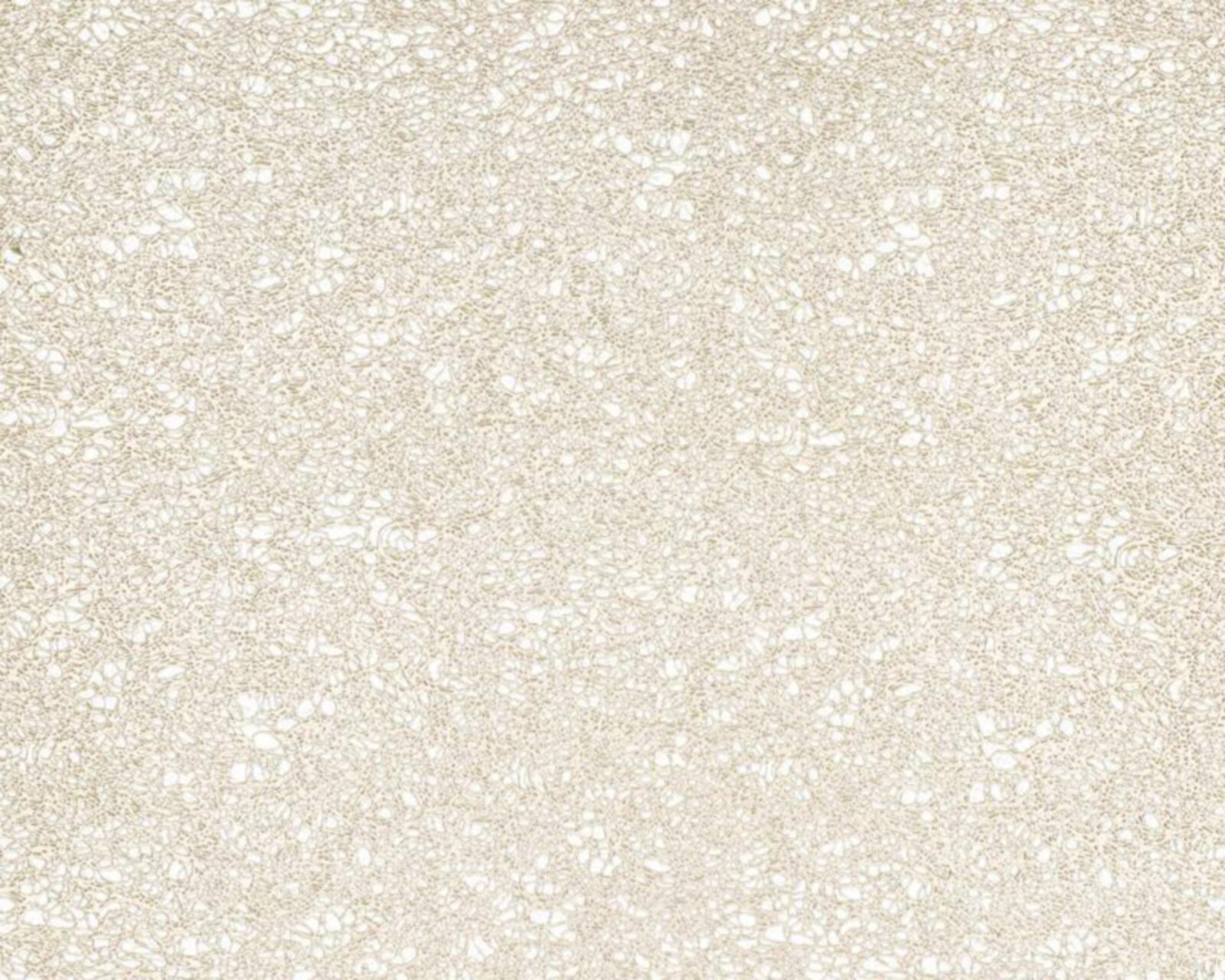 Foto 4 pulgar | Foto 3 | Mantel Individual Frida Dorado 30 x 45 cm 4 Piezas