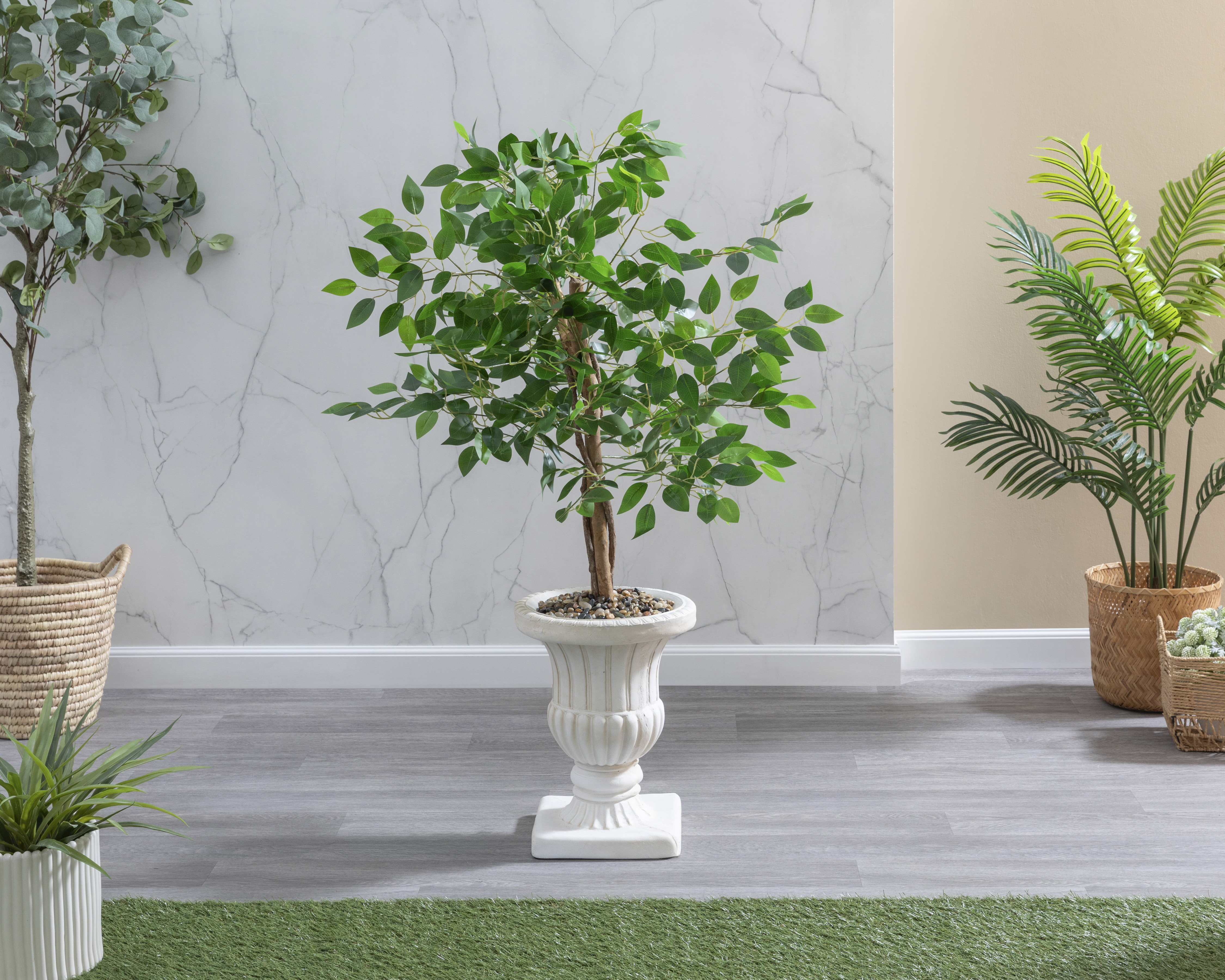 Ficus con Maceta Starhaus 120 cm