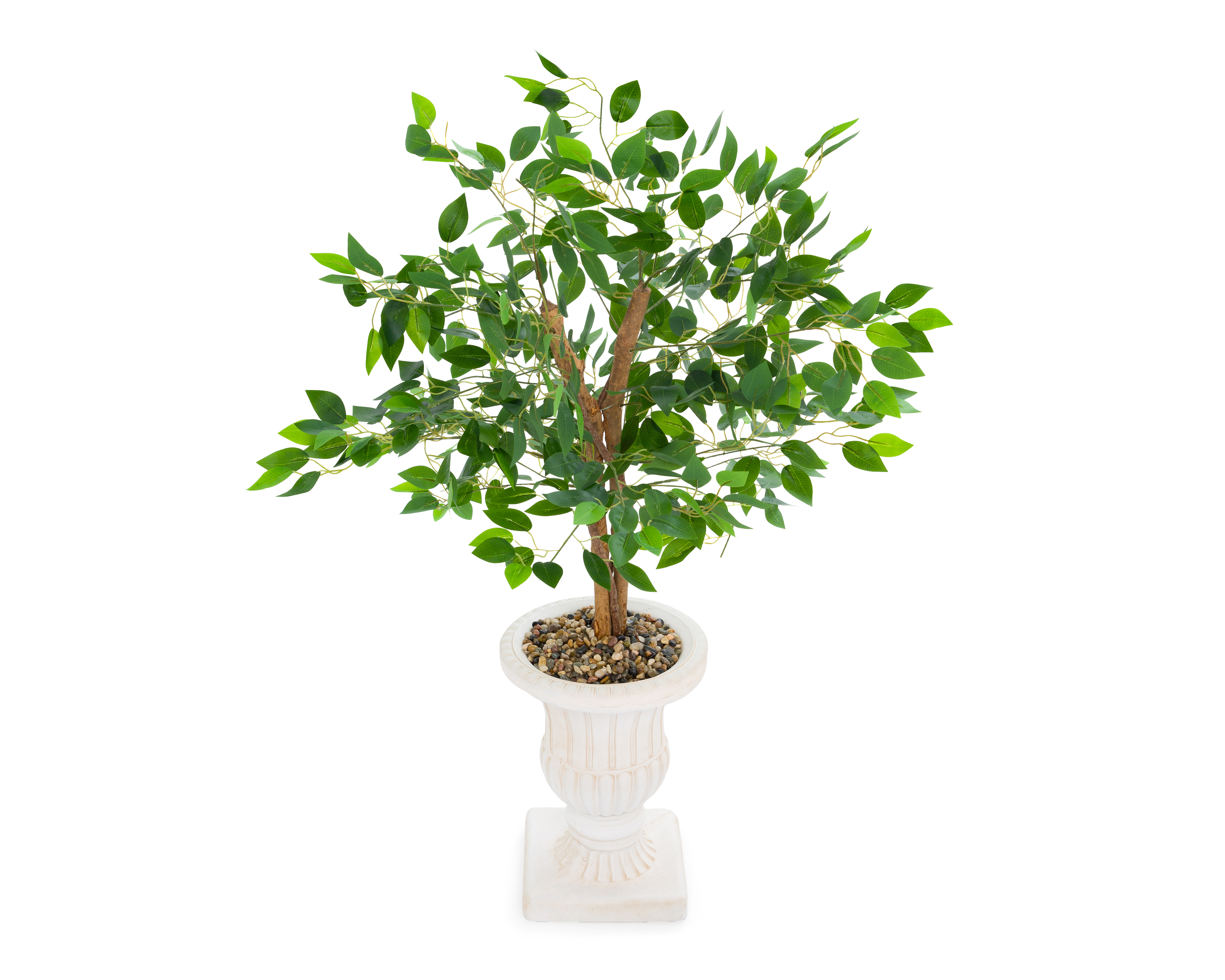 Foto 3 | Foto 3 | Ficus con Maceta Starhaus 120 cm