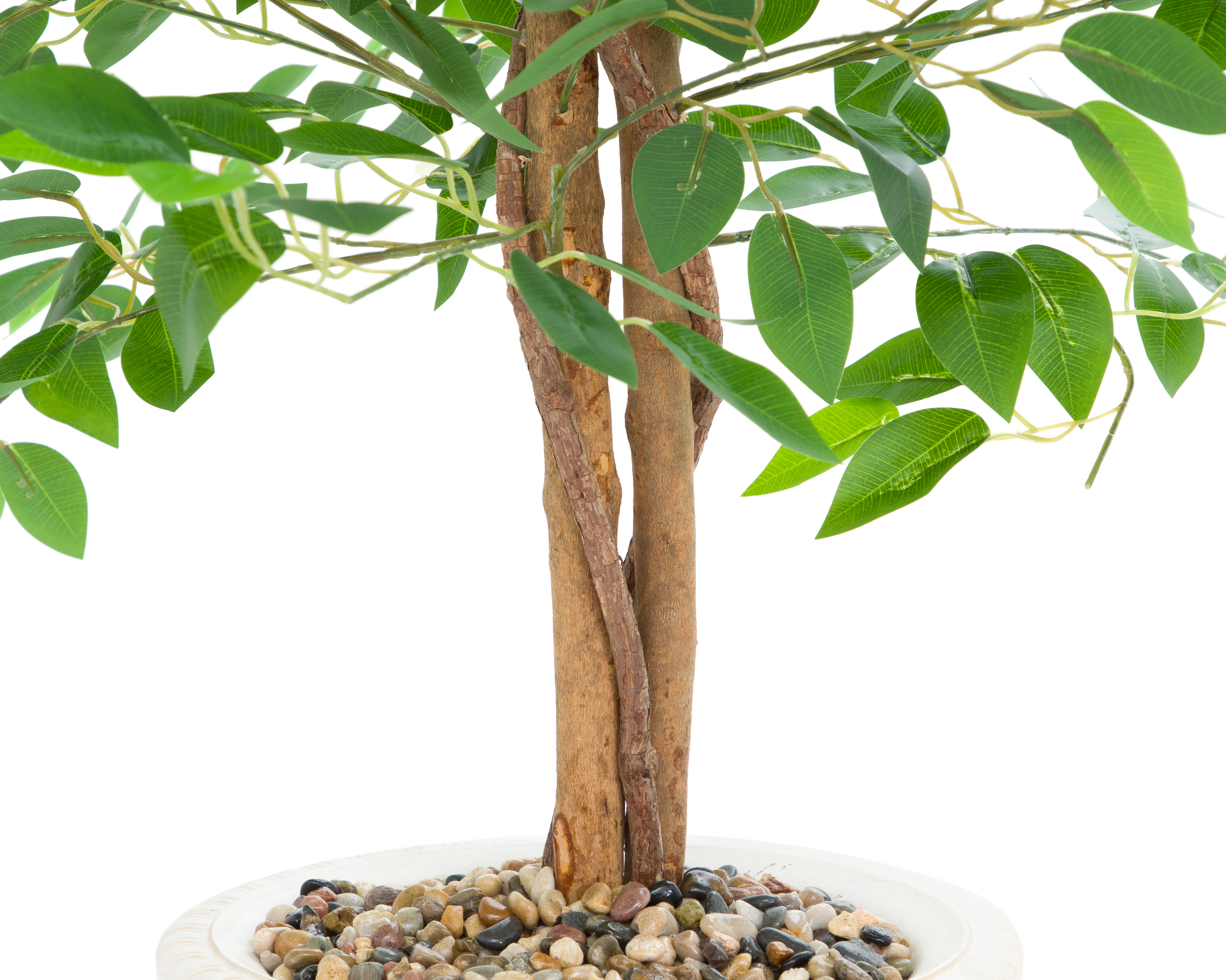 Foto 4 | Foto 4 | Ficus con Maceta Starhaus 120 cm