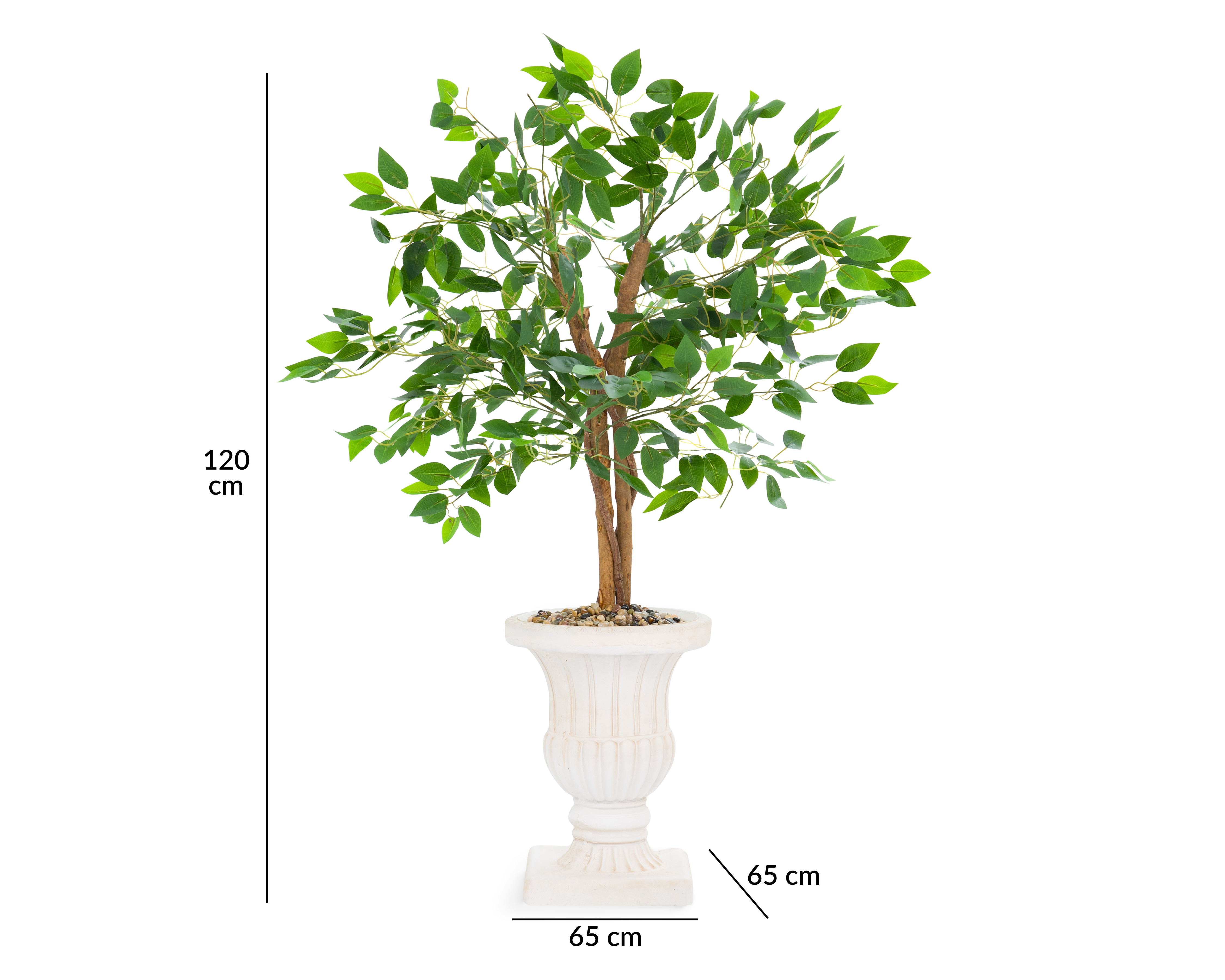 Foto 6 pulgar | Foto 5 | Ficus con Maceta Starhaus 120 cm