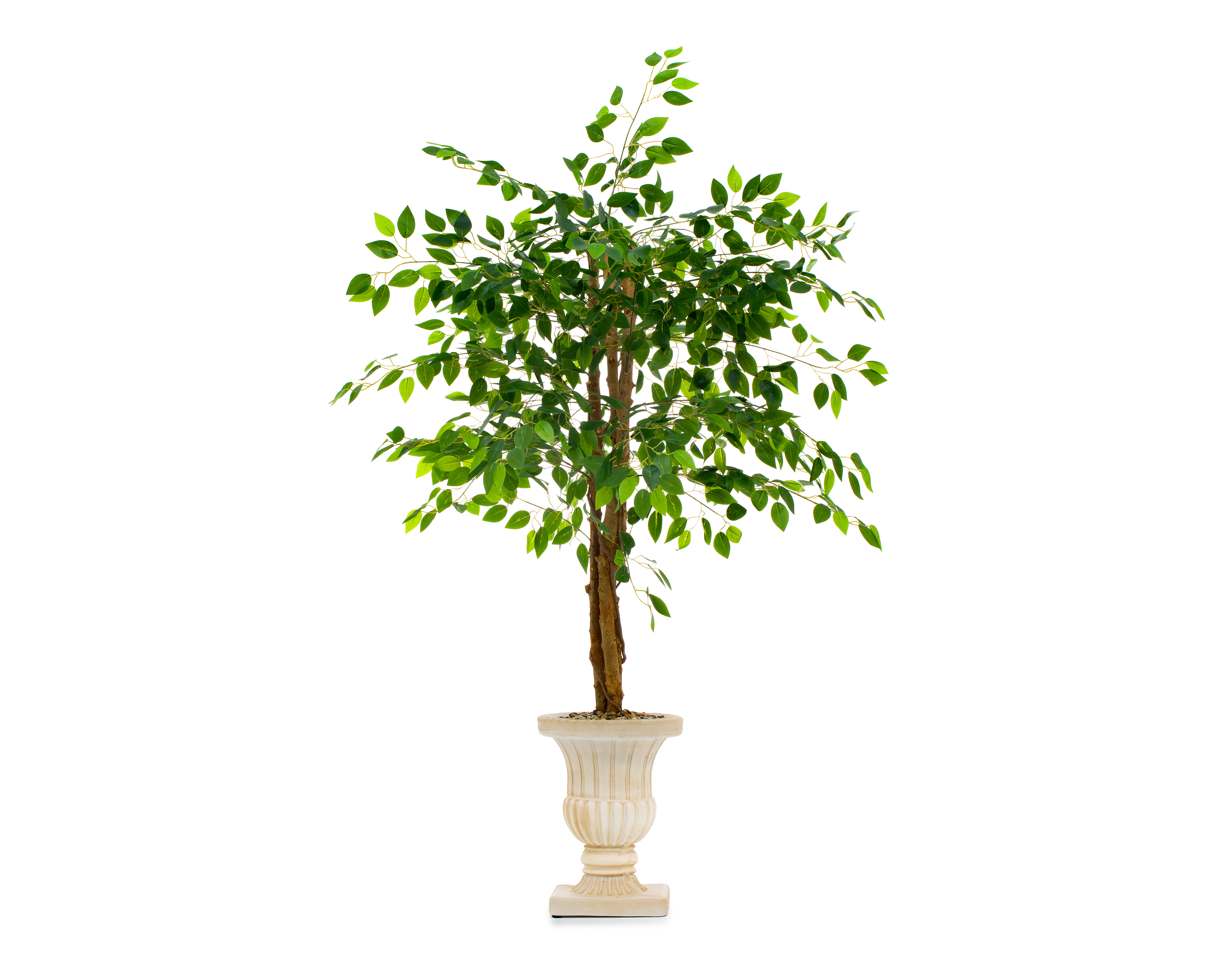 Foto 2 | Foto 2 | Ficus Artificial con Maceta Starhaus 160 cm