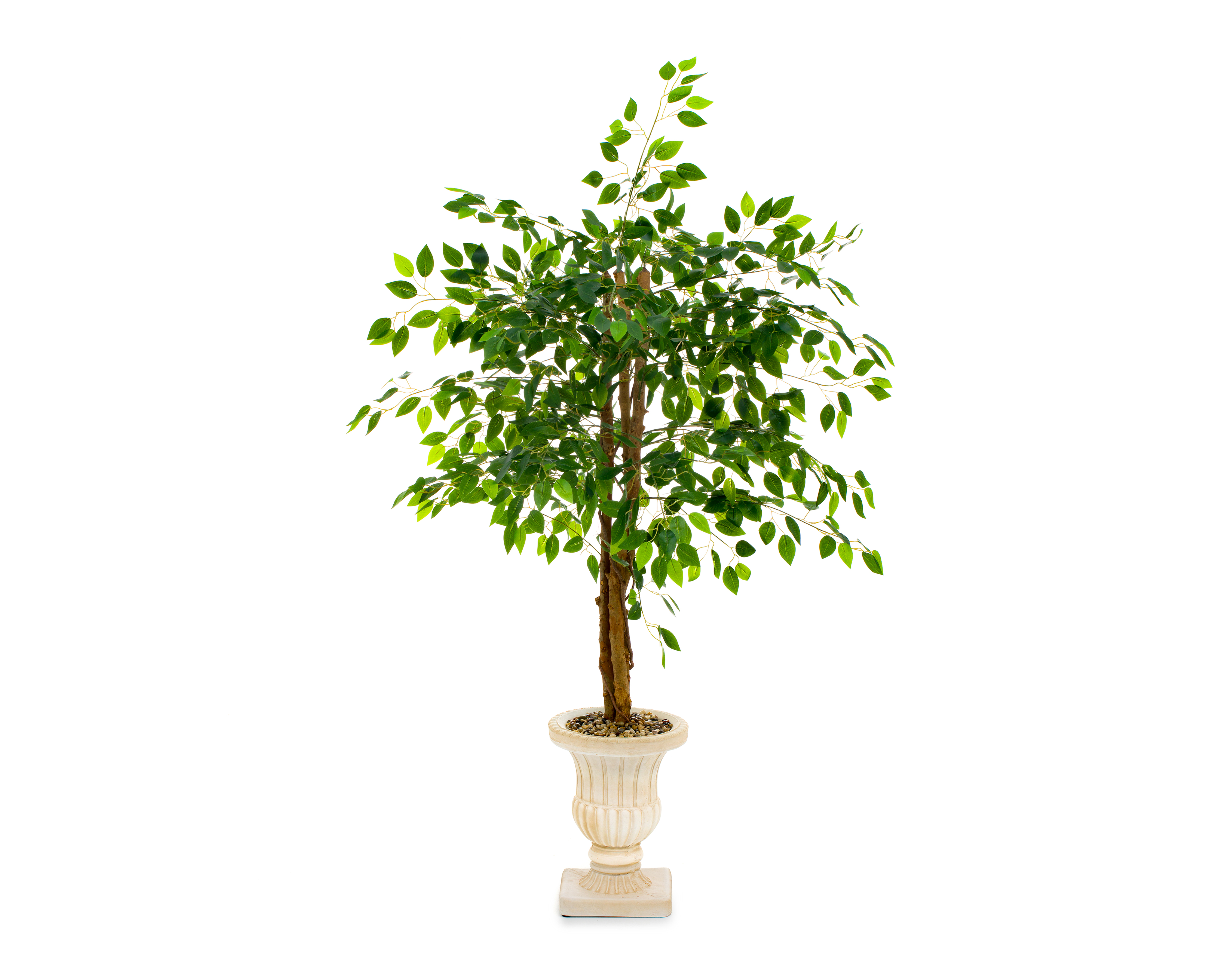 Foto 4 pulgar | Foto 3 | Ficus Artificial con Maceta Starhaus 160 cm