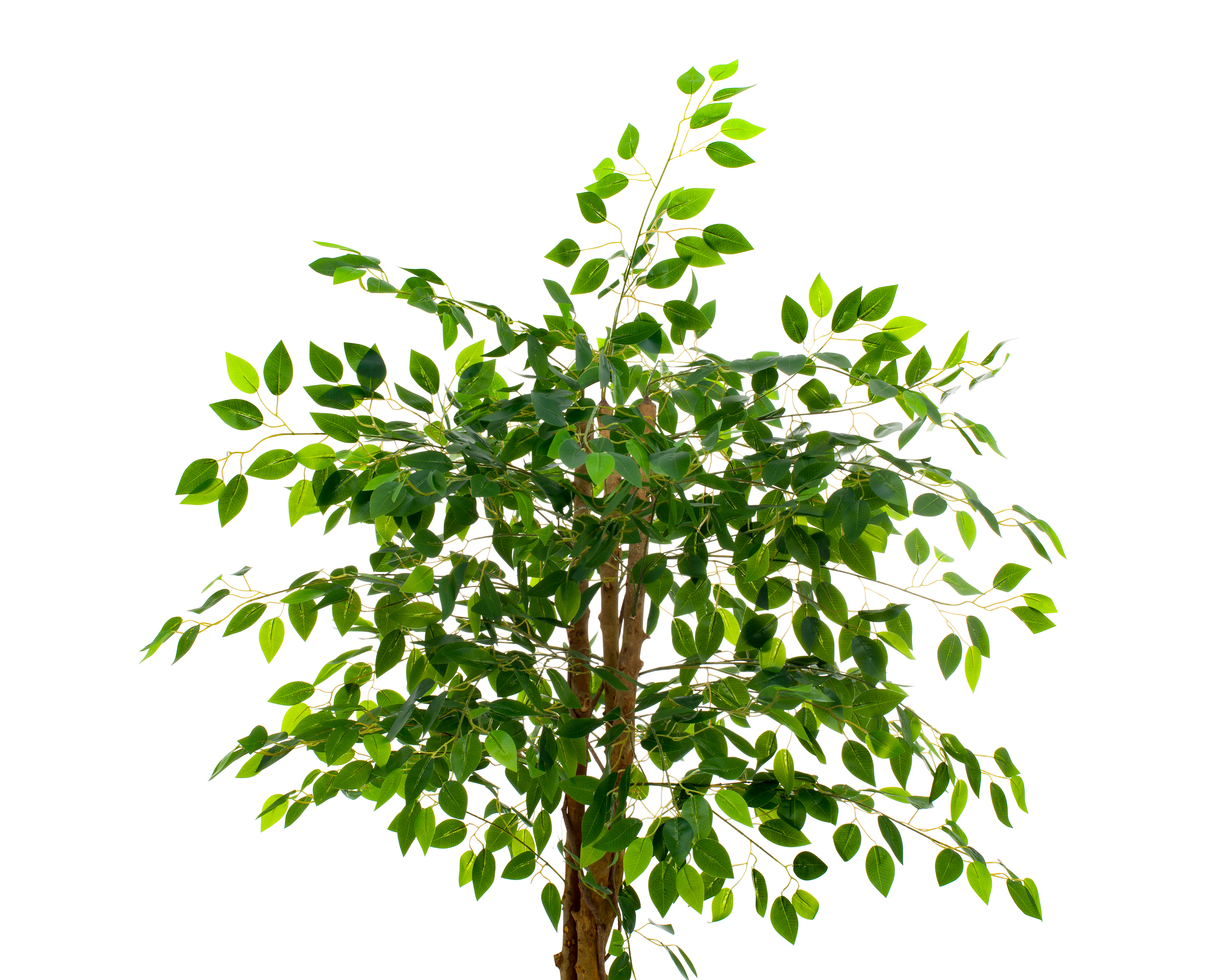 Foto 4 | Foto 4 | Ficus Artificial con Maceta Starhaus 160 cm