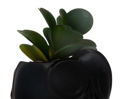 Foto 3 | Foto 3 | Planta Artificial con Maceta Starhaus 13 cm