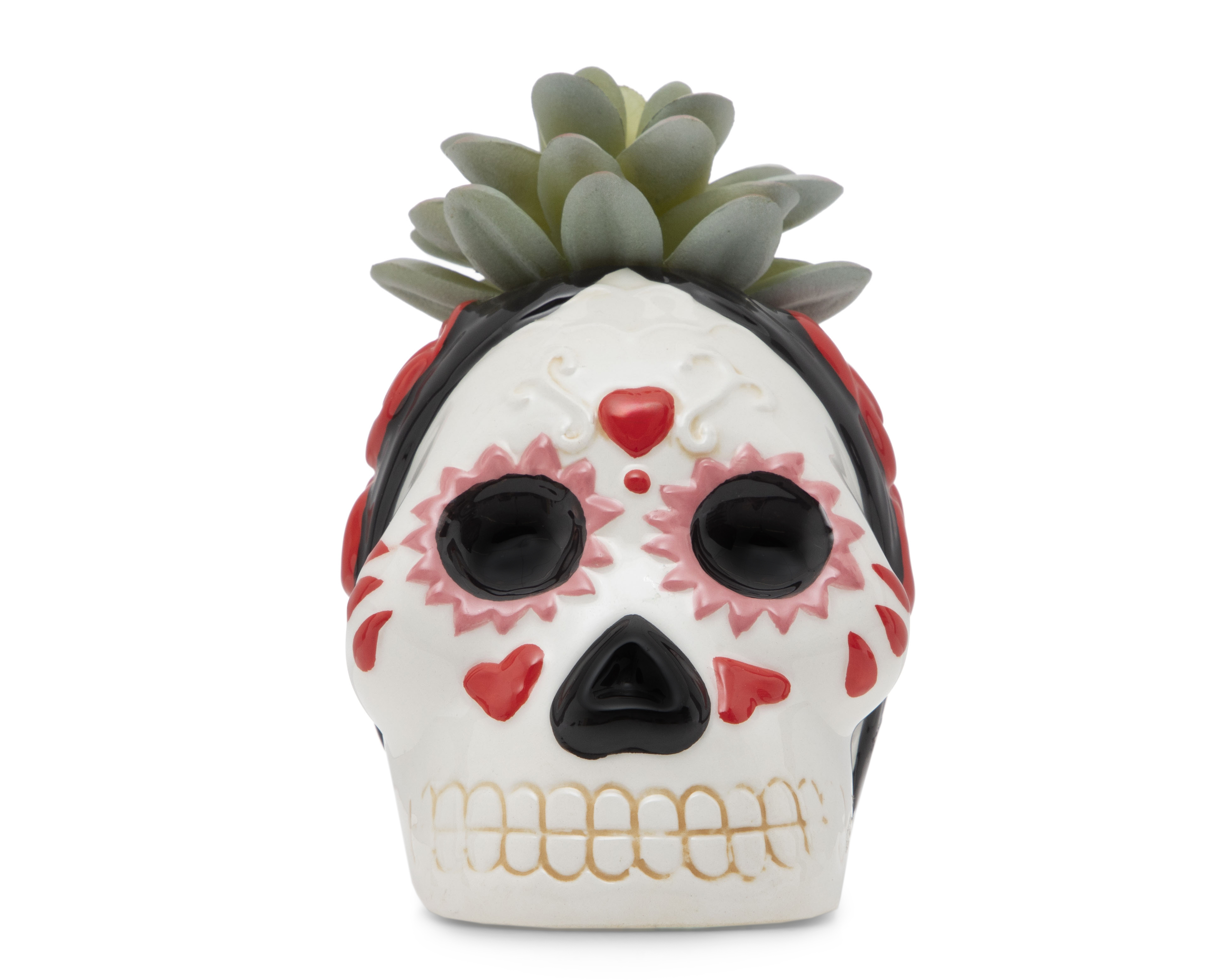 Foto 1 | Foto 1 | Suculenta Día de Muertos con Maceta Starhaus 13 cm