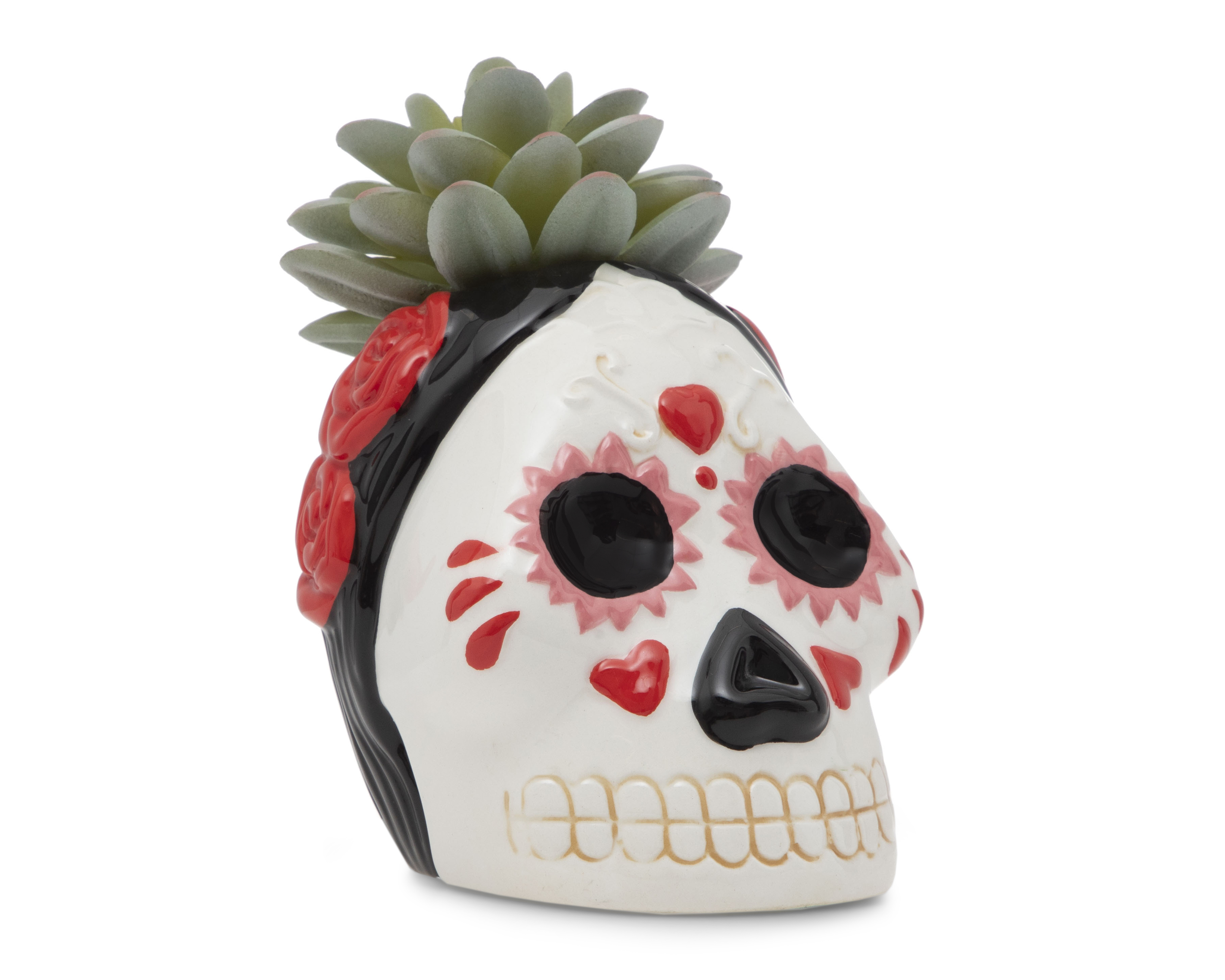 Foto 2 | Foto 2 | Suculenta Día de Muertos con Maceta Starhaus 13 cm