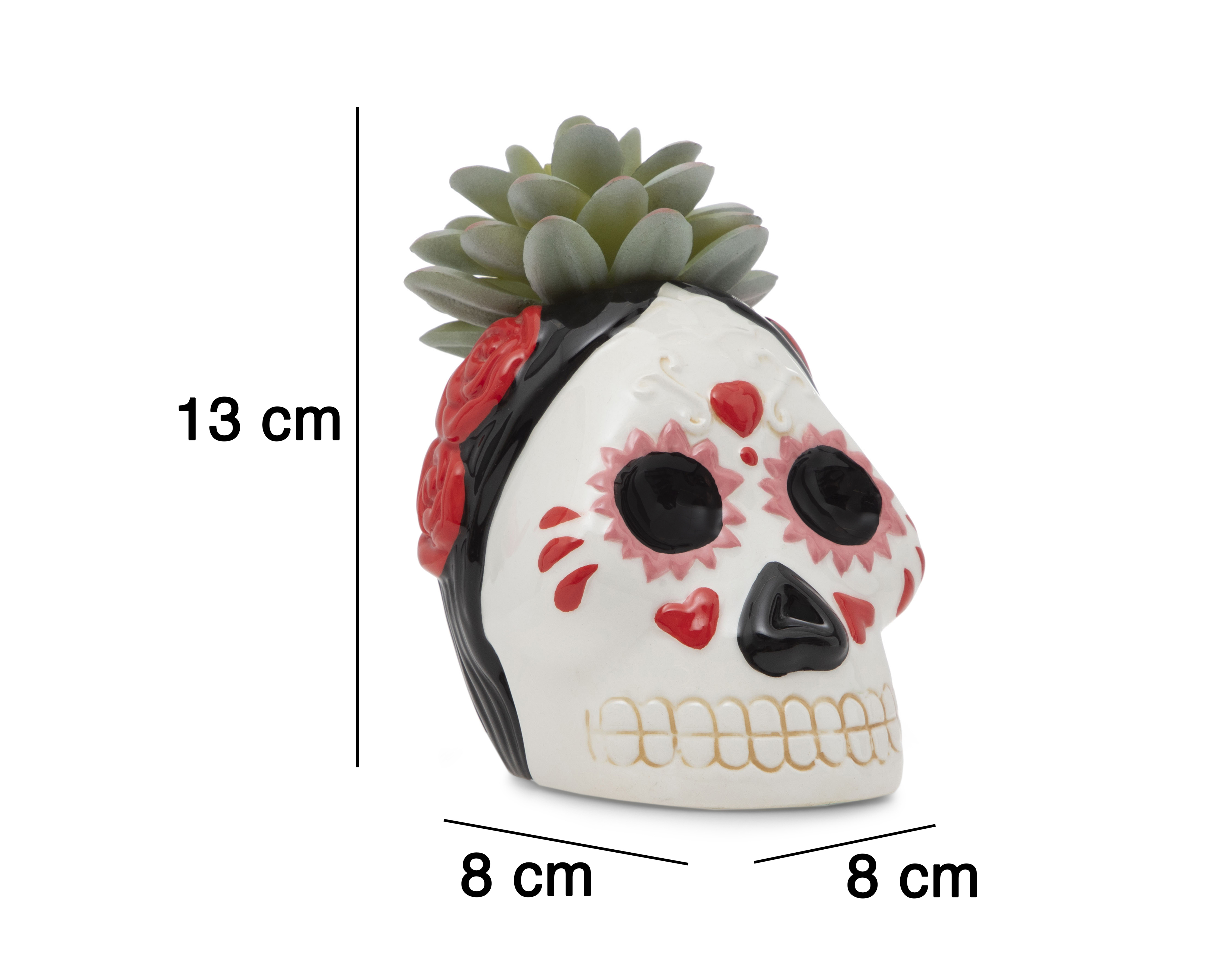 Foto 6 pulgar | Foto 5 | Suculenta Día de Muertos con Maceta Starhaus 13 cm