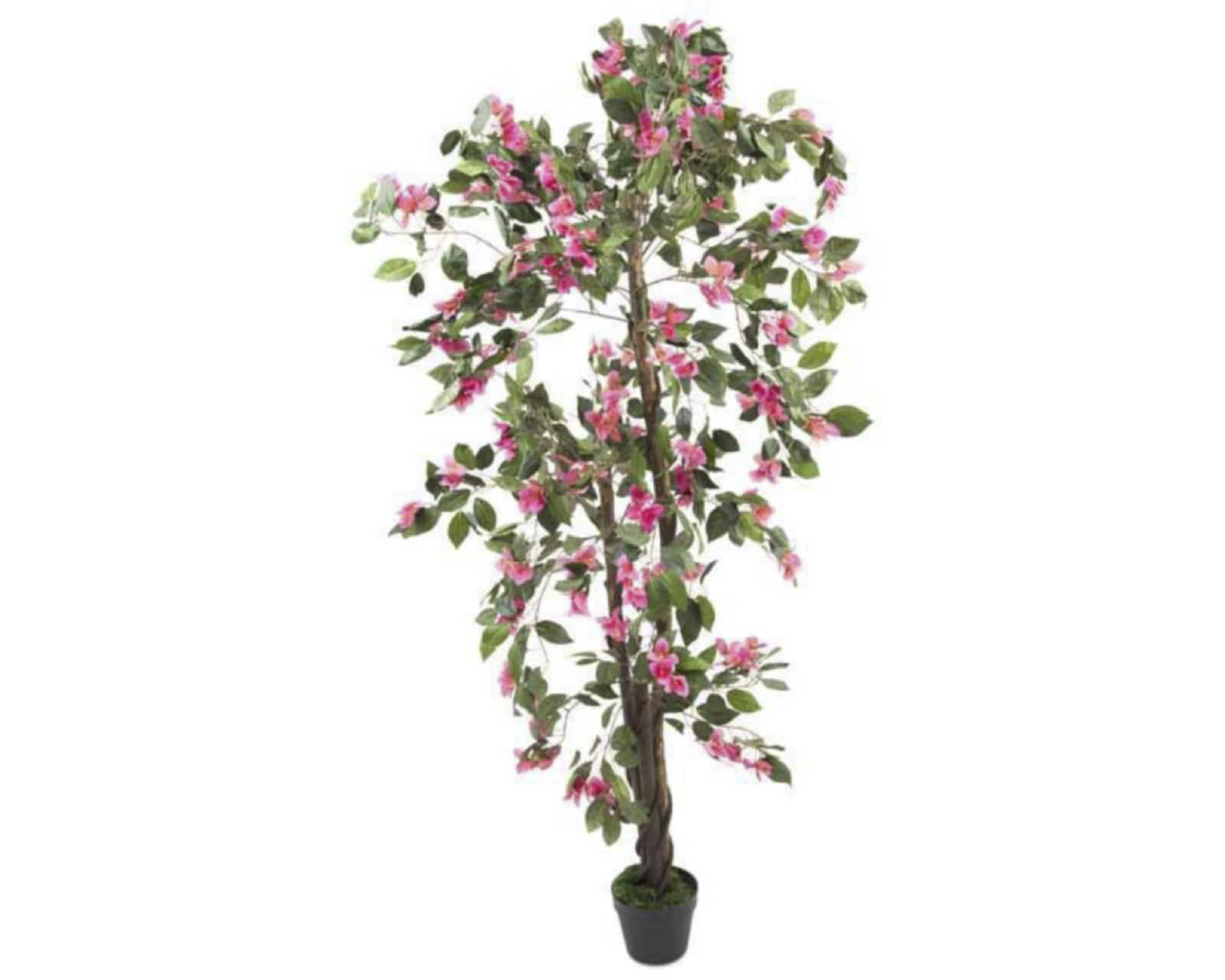 Foto 3 pulgar | Foto 2 | Planta Decorativa Alexa 1.60 m
