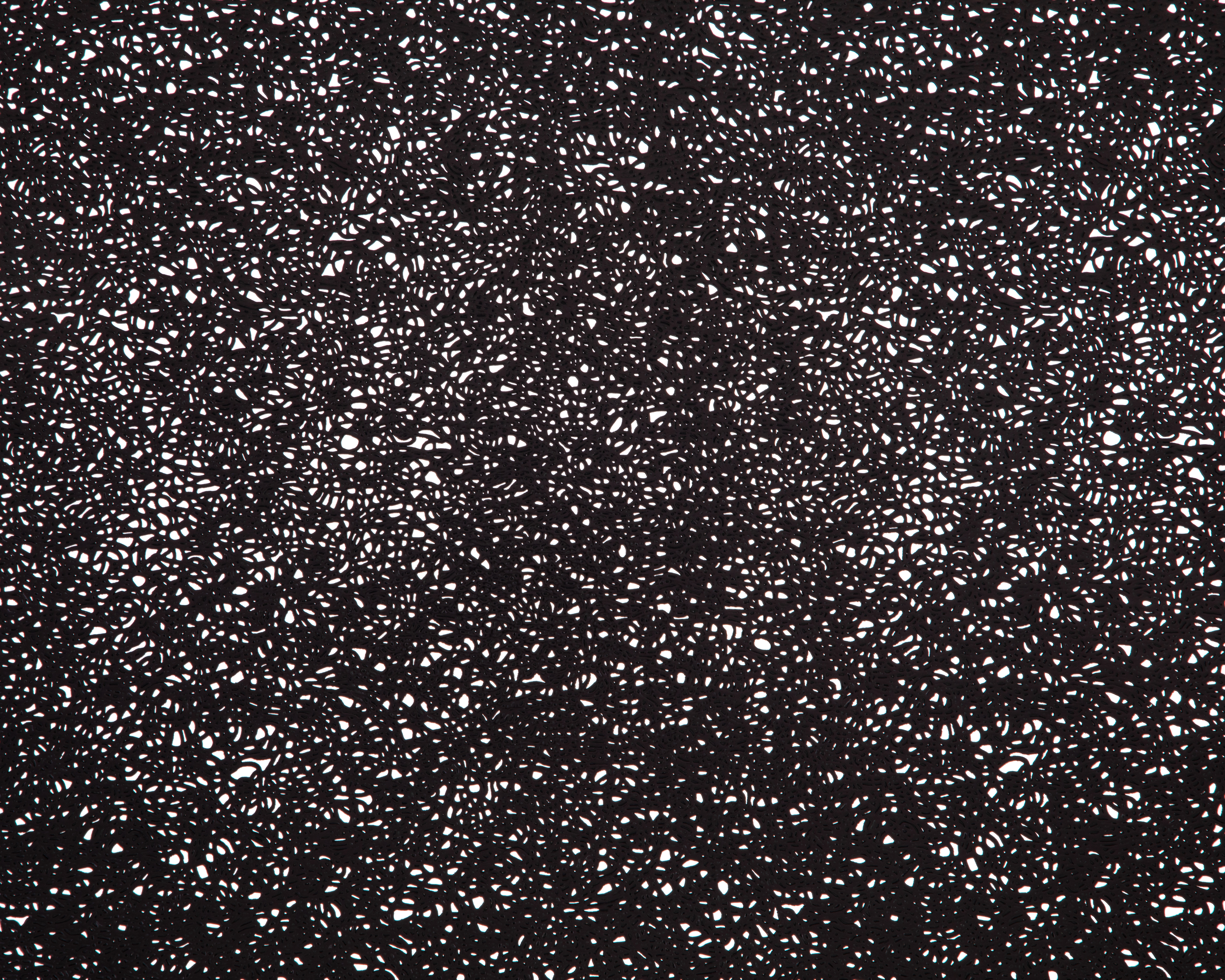 Foto 5 | Foto 5 | Mantel Individual Negro Starhaus Meisy 4 Piezas