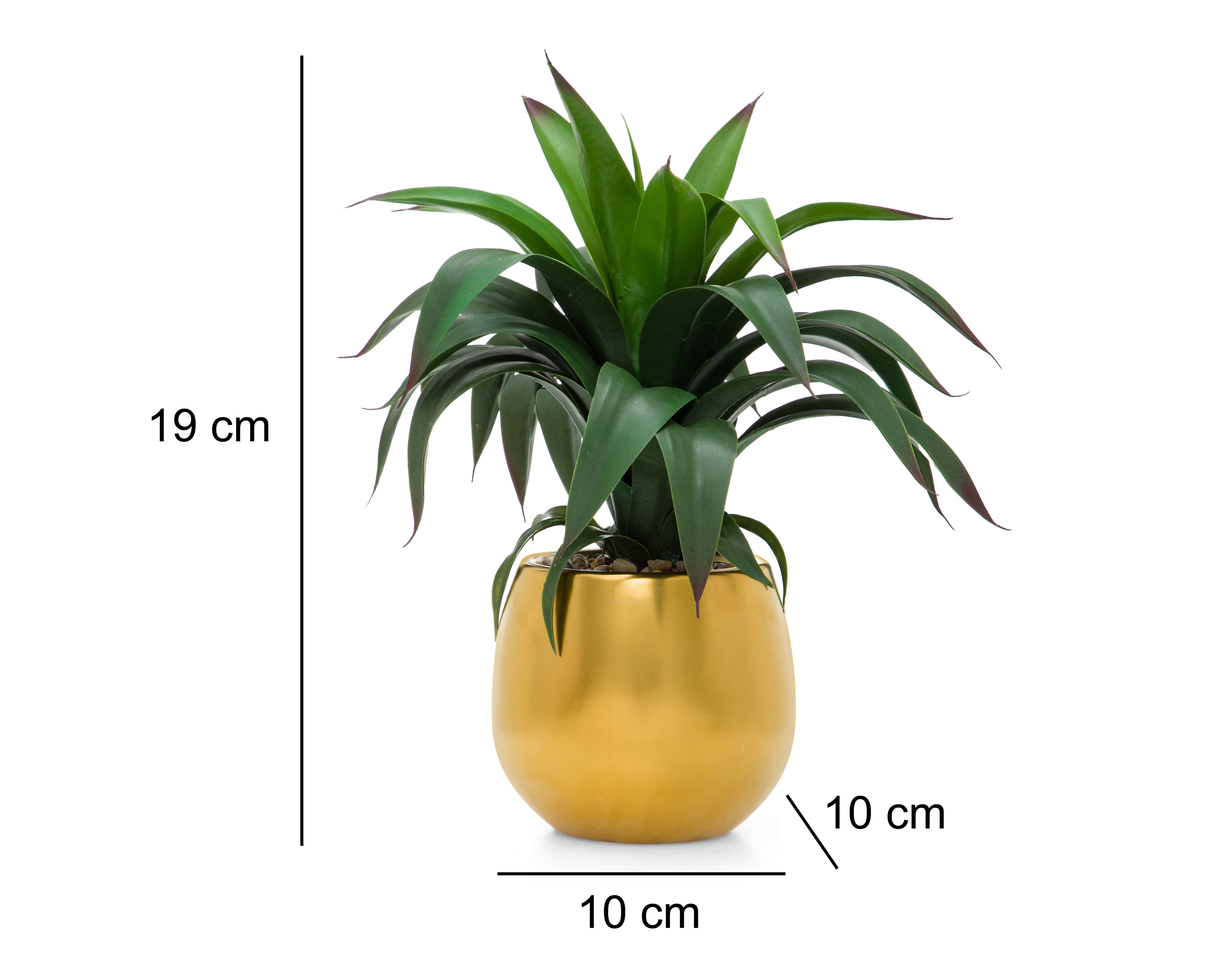 Foto 5 | Foto 5 | Suculenta con Maceta Starhaus 19 cm