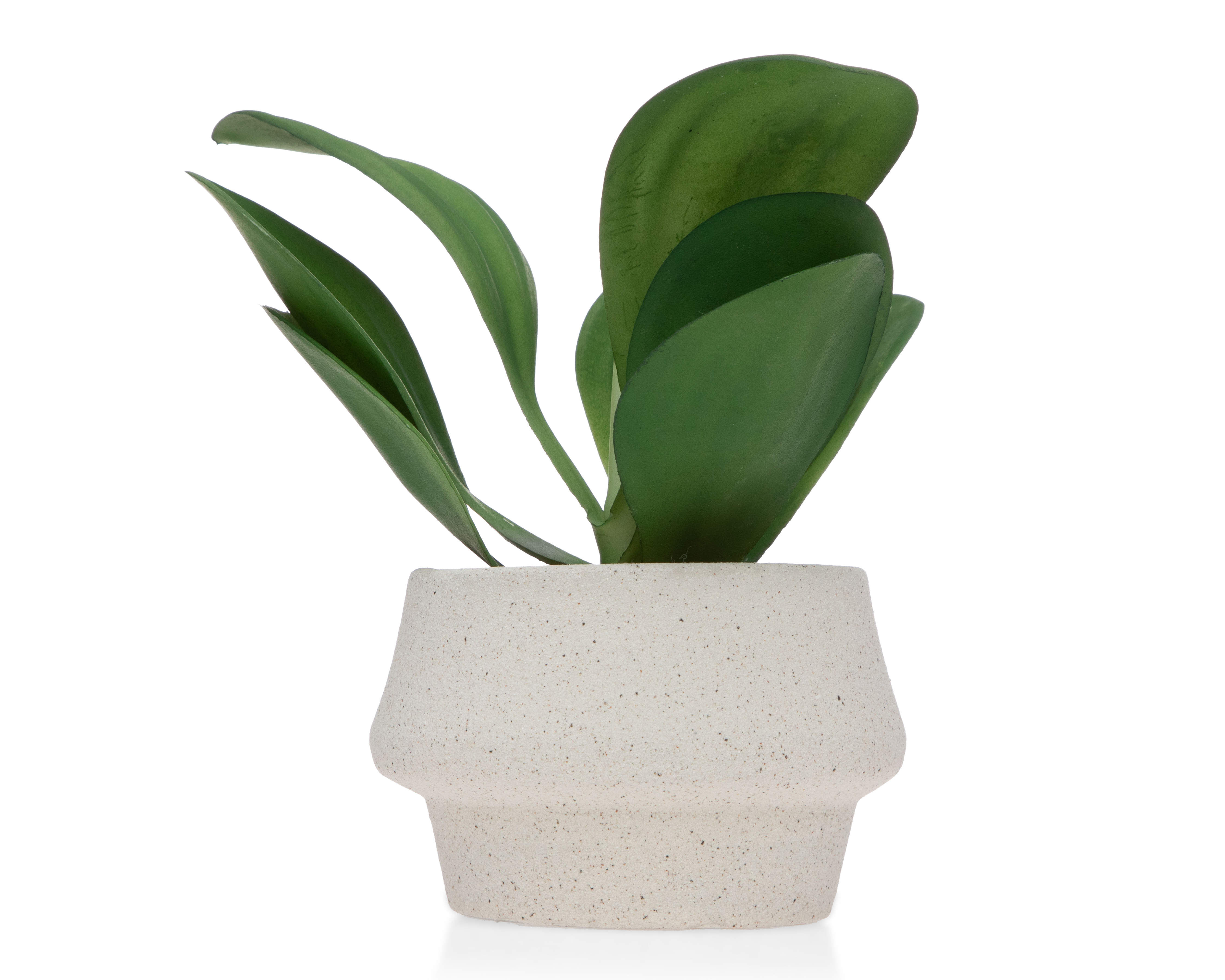 Suculenta Artificial con Maceta Starhaus 22.5 cm