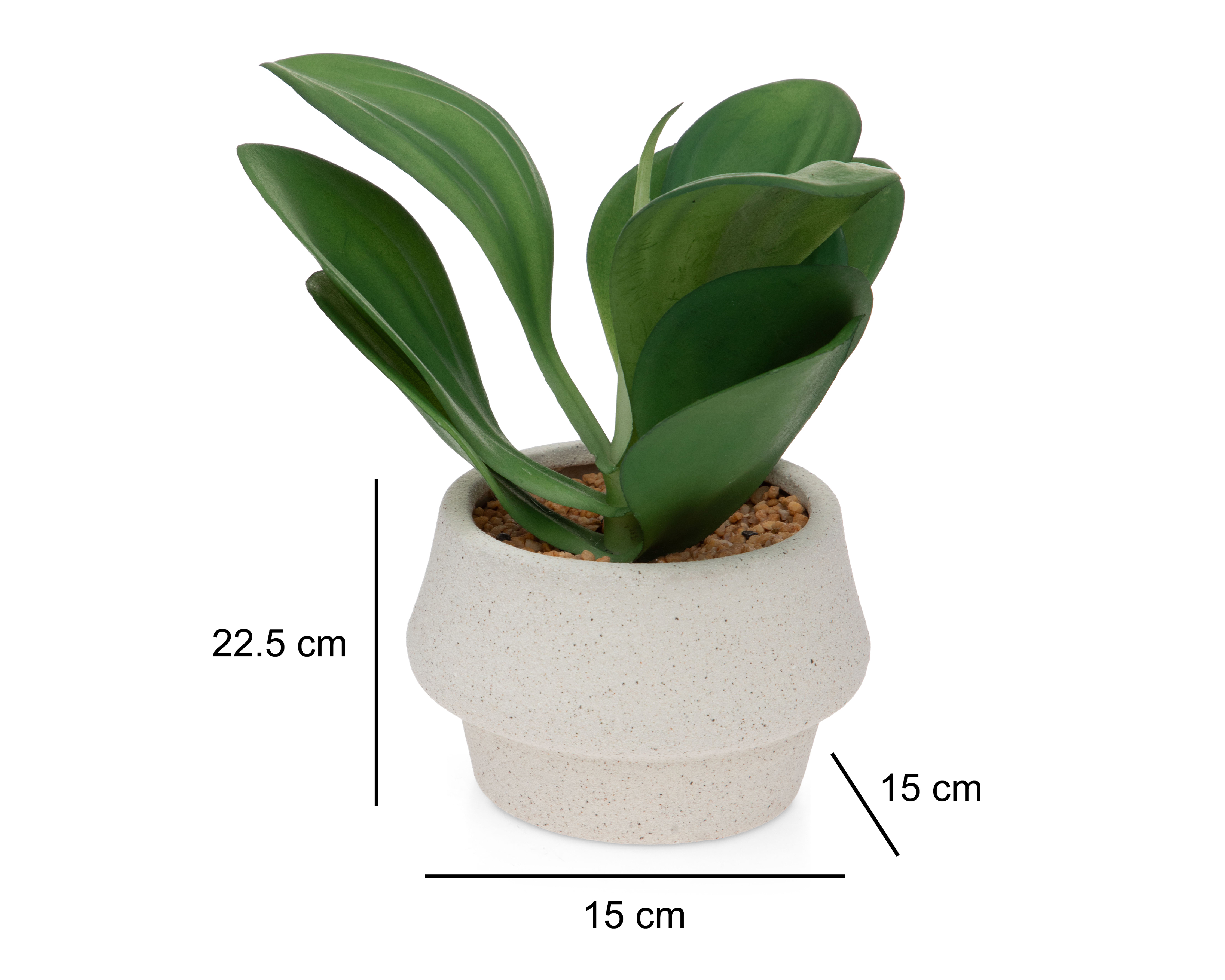 Foto 5 | Foto 5 | Suculenta Artificial con Maceta Starhaus 22.5 cm