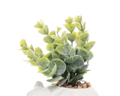 Foto 4 | Foto 4 | Planta Artificial con Maceta Starhaus 10 cm