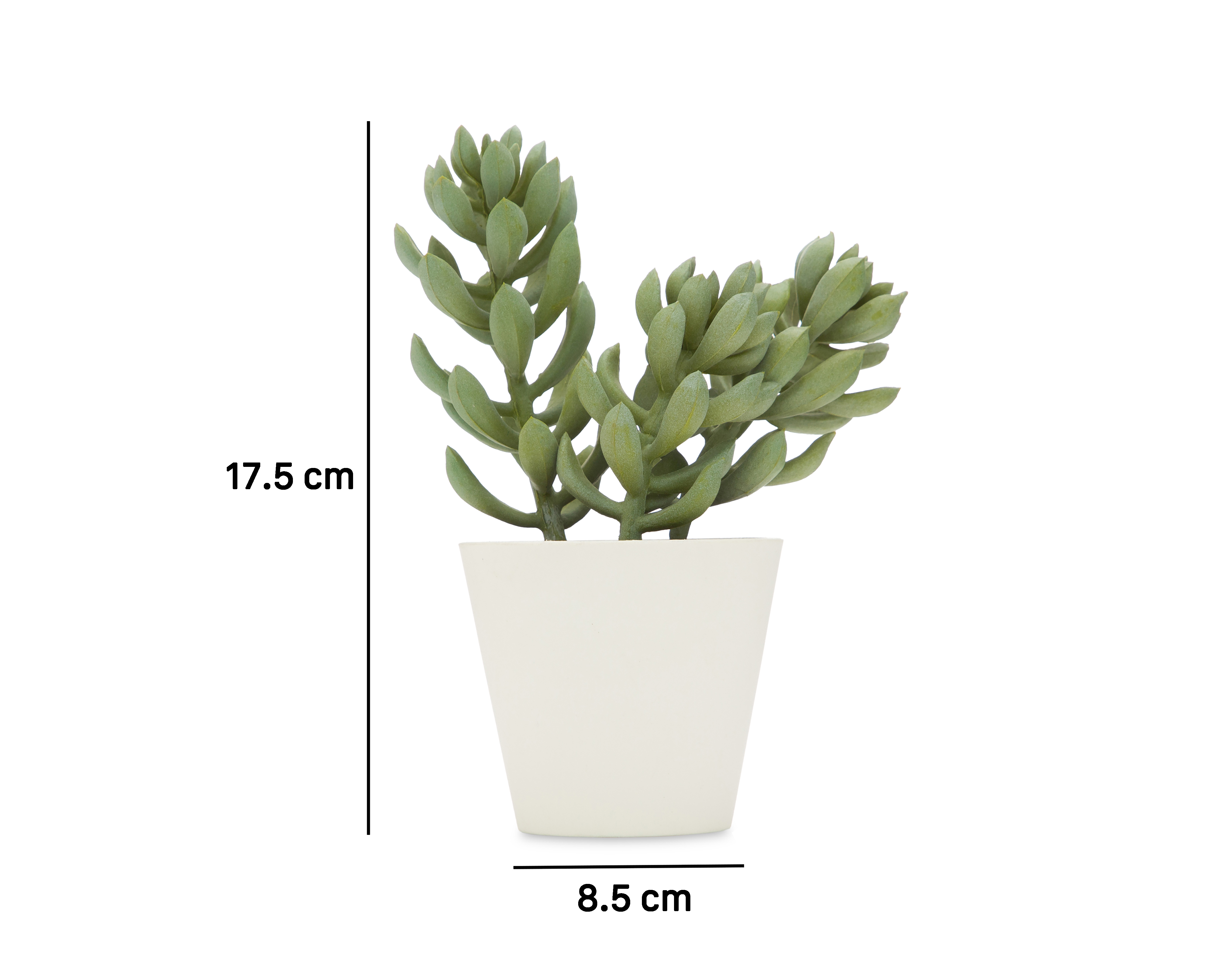Foto 5 | Foto 5 | Suculenta con Maceta Starhaus 17.5 cm