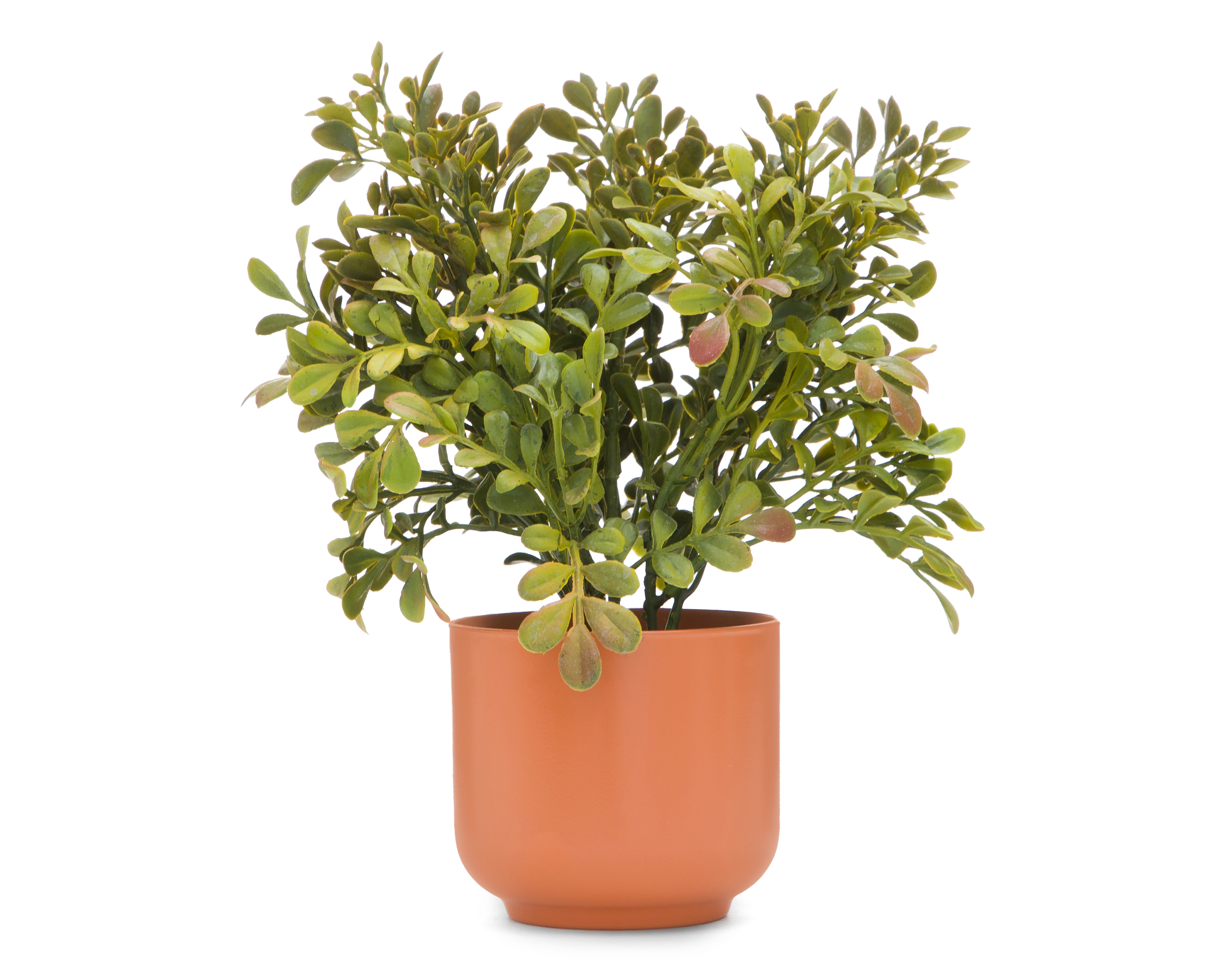 Suculenta Artificial con Maceta Starhaus 26 cm