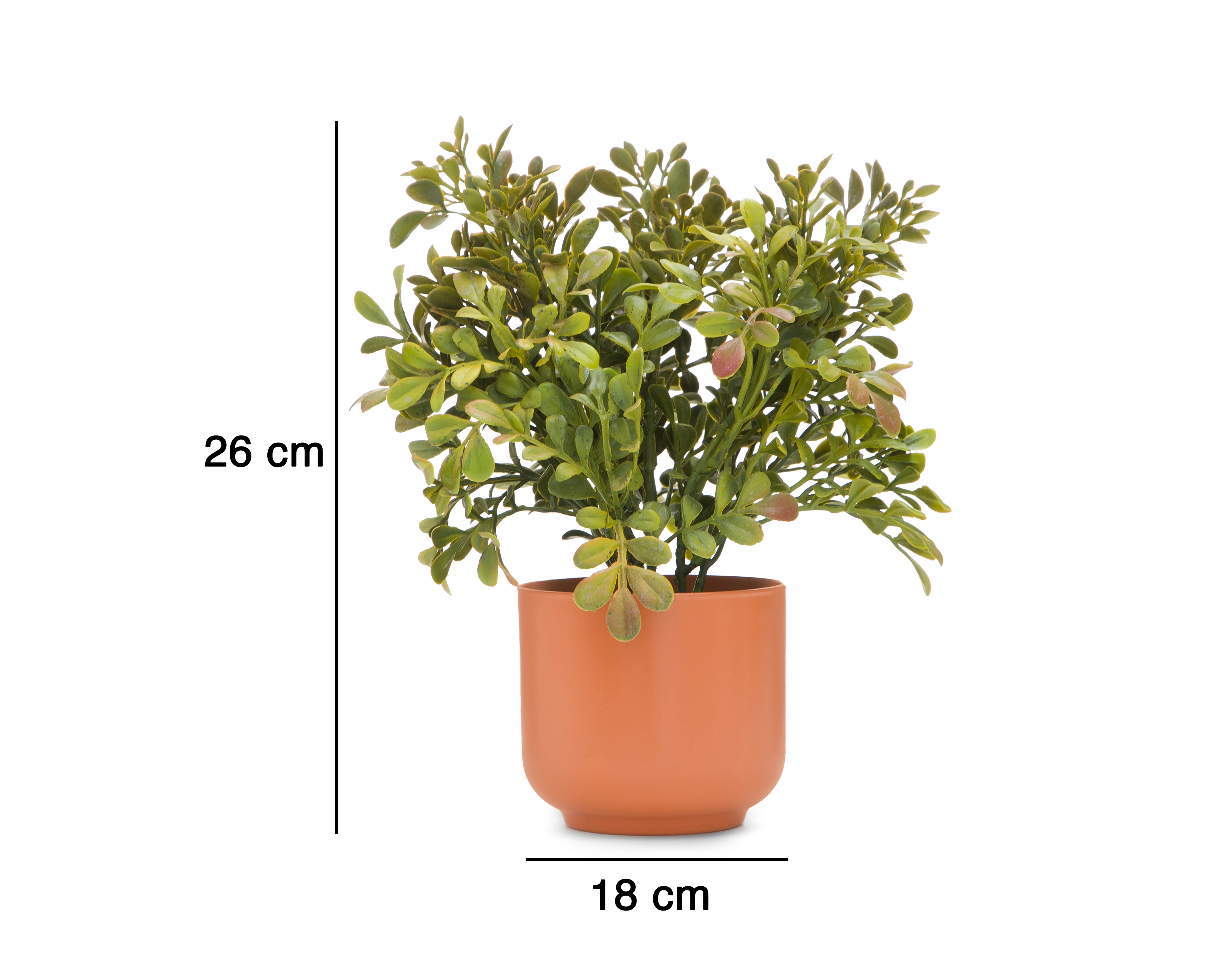 Foto 4 | Foto 4 | Suculenta Artificial con Maceta Starhaus 26 cm