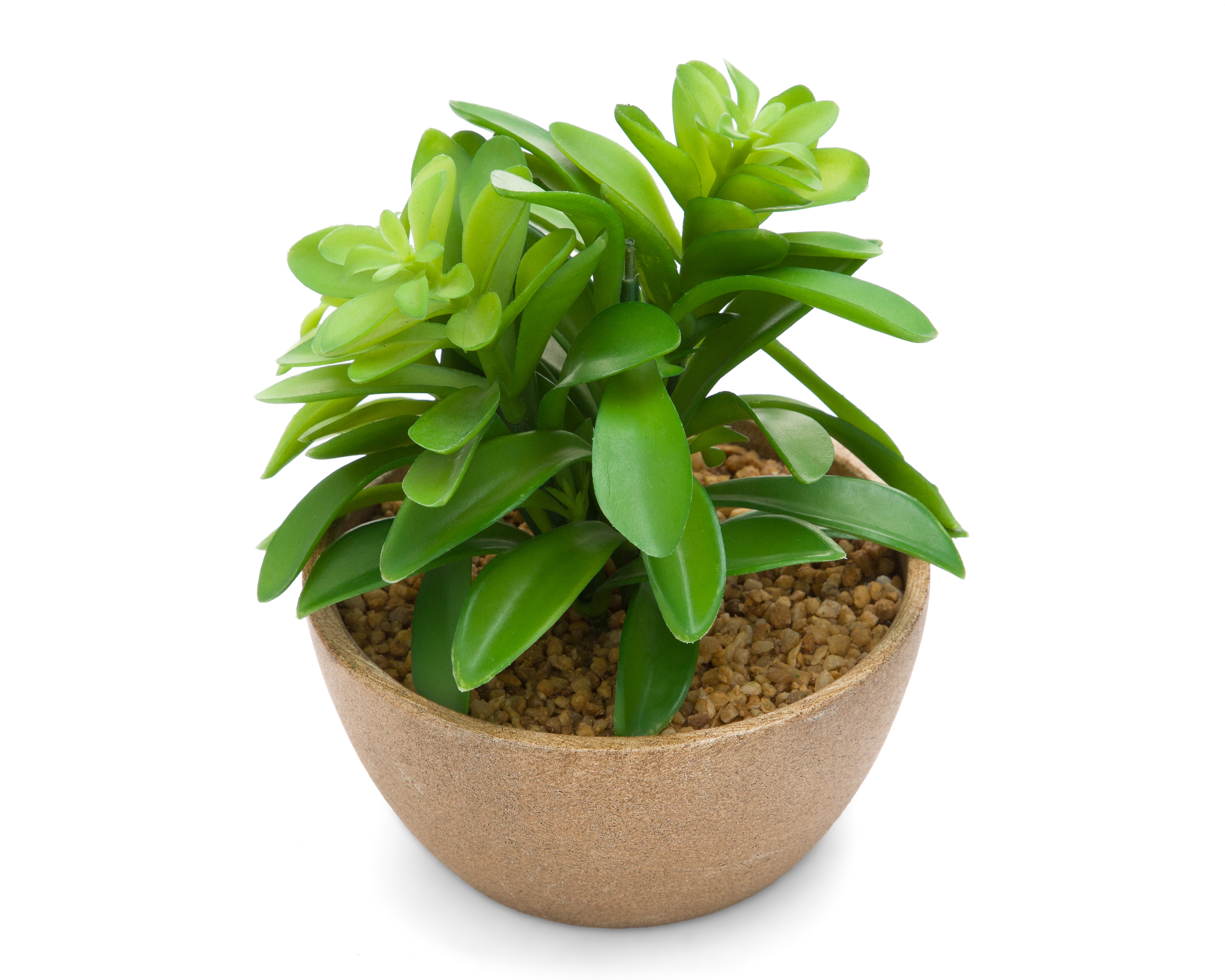 Foto 2 | Foto 2 | Planta Artificial con Maceta Starhaus 13.9 cm