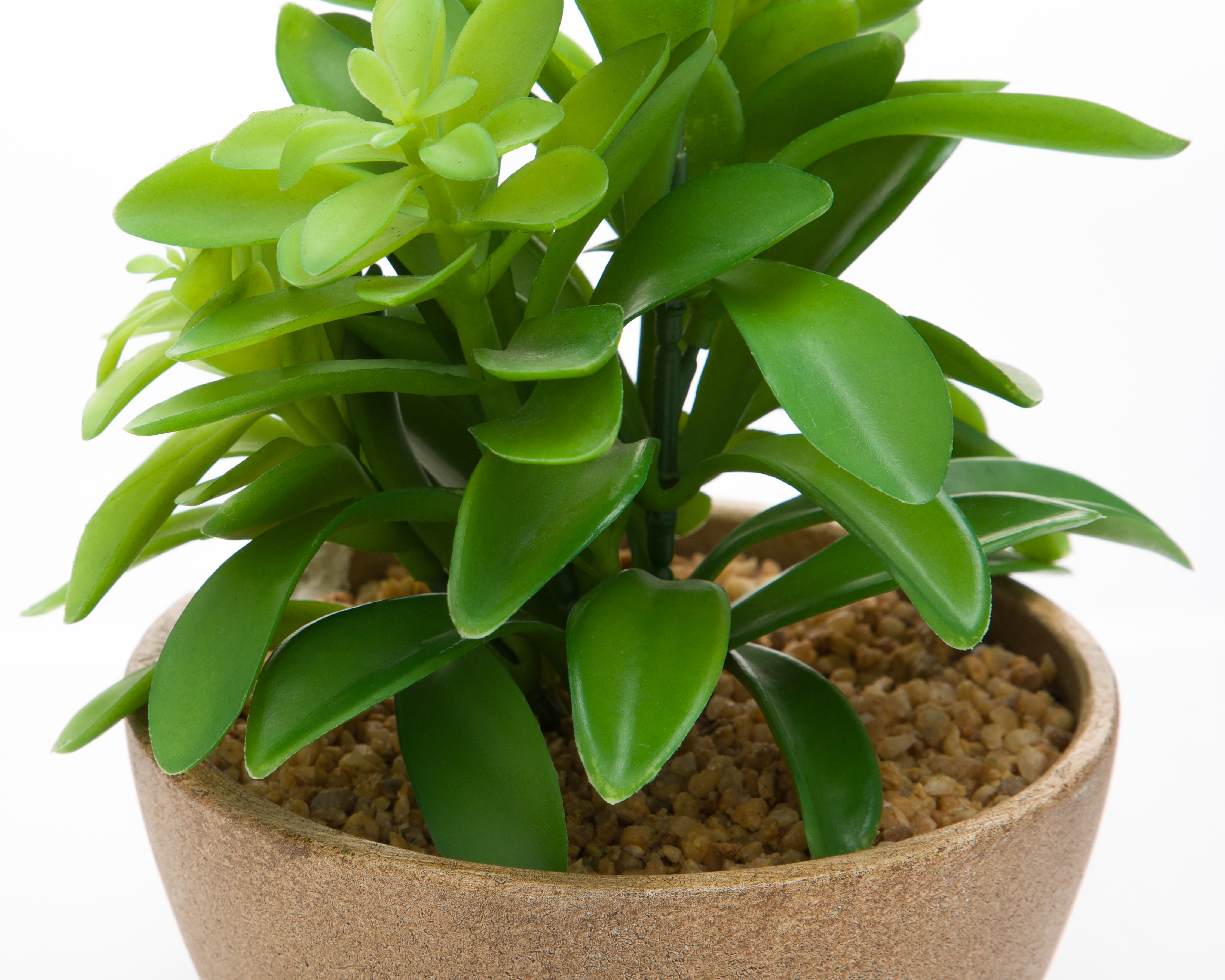 Foto 4 pulgar | Foto 3 | Planta Artificial con Maceta Starhaus 13.9 cm