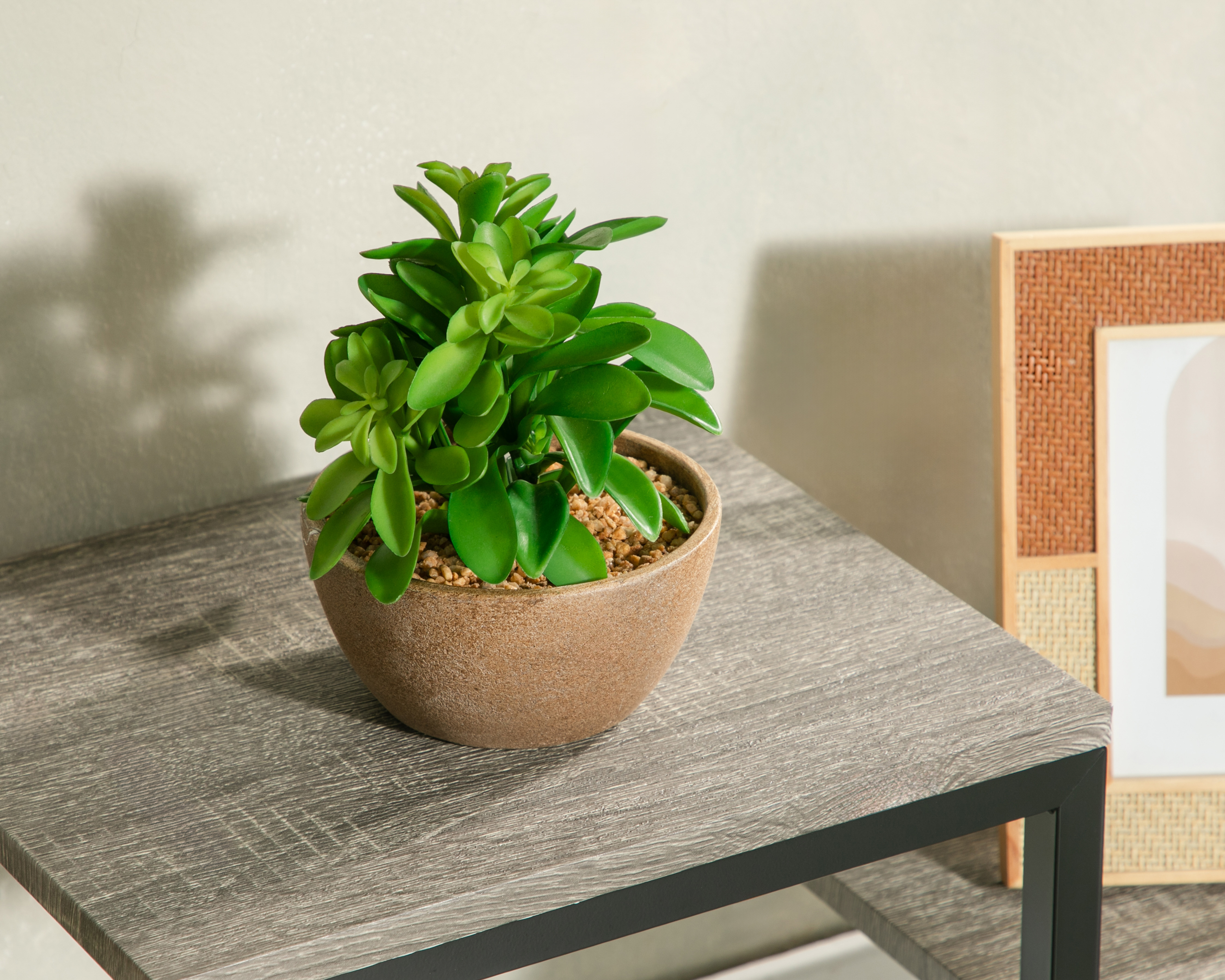 Foto 4 | Foto 4 | Planta Artificial con Maceta Starhaus 13.9 cm