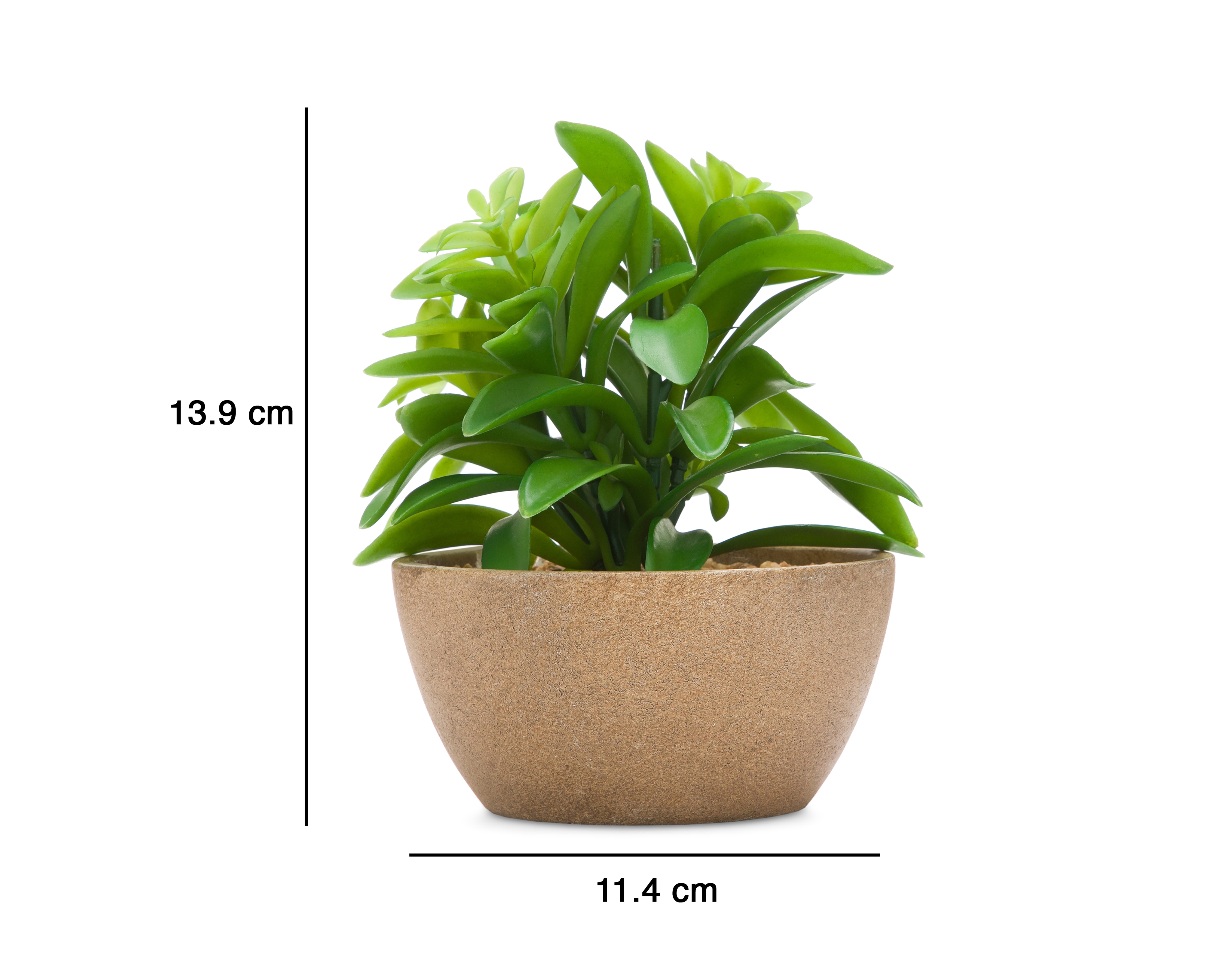 Foto 5 | Foto 5 | Planta Artificial con Maceta Starhaus 13.9 cm