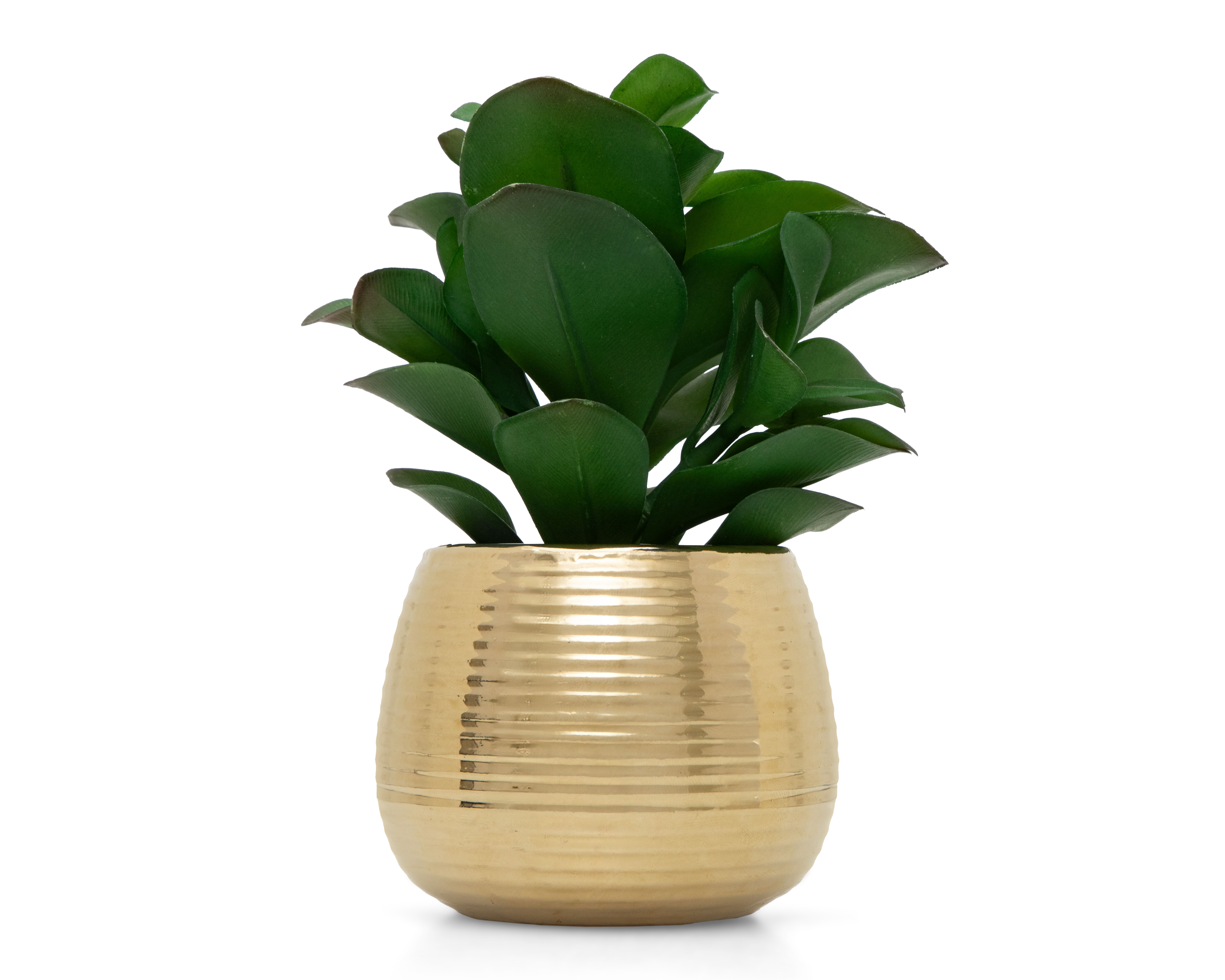 Foto 1 | Foto 1 | Planta Artificial con Maceta Starhaus 15.8 cm