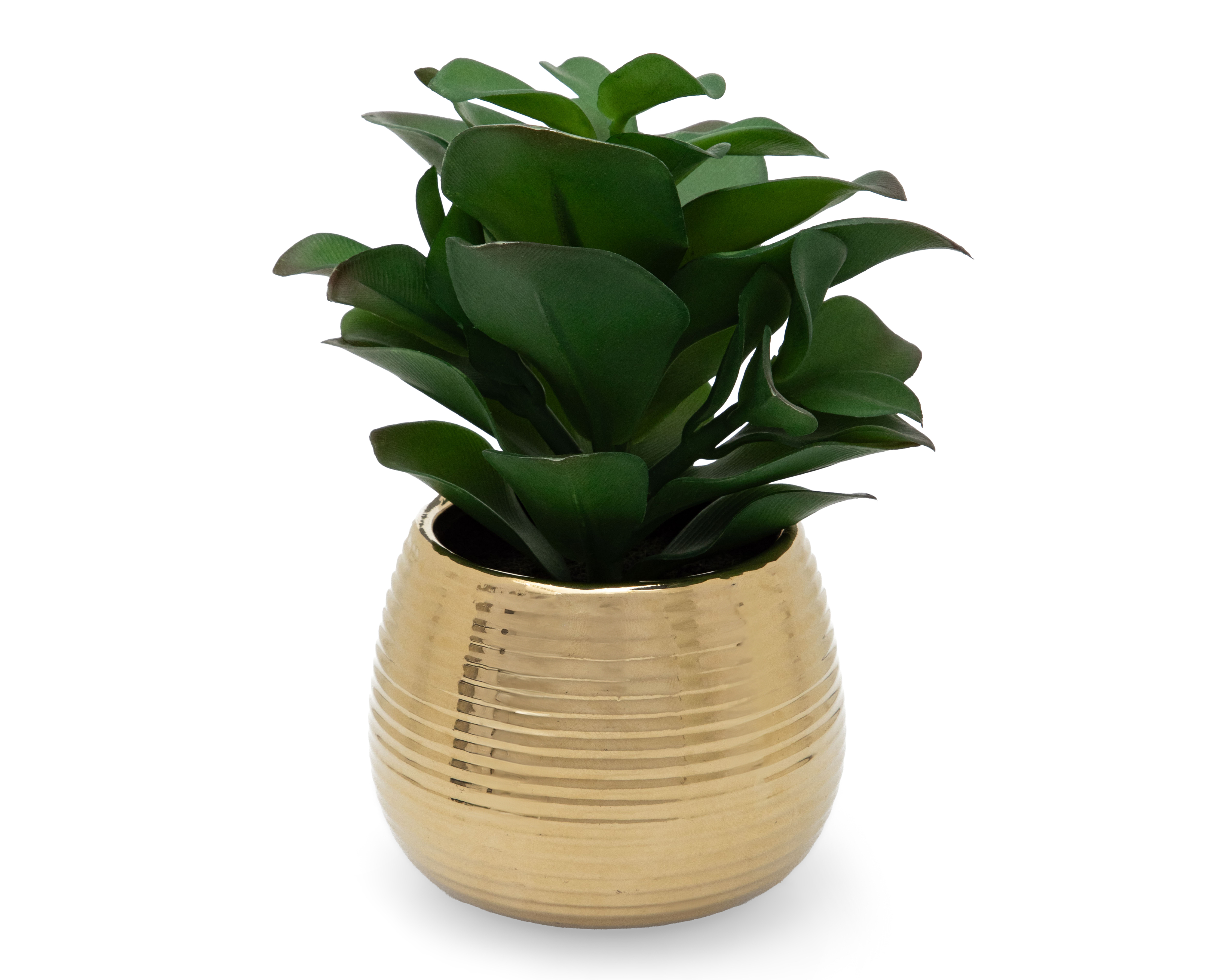 Foto 2 | Foto 2 | Planta Artificial con Maceta Starhaus 15.8 cm