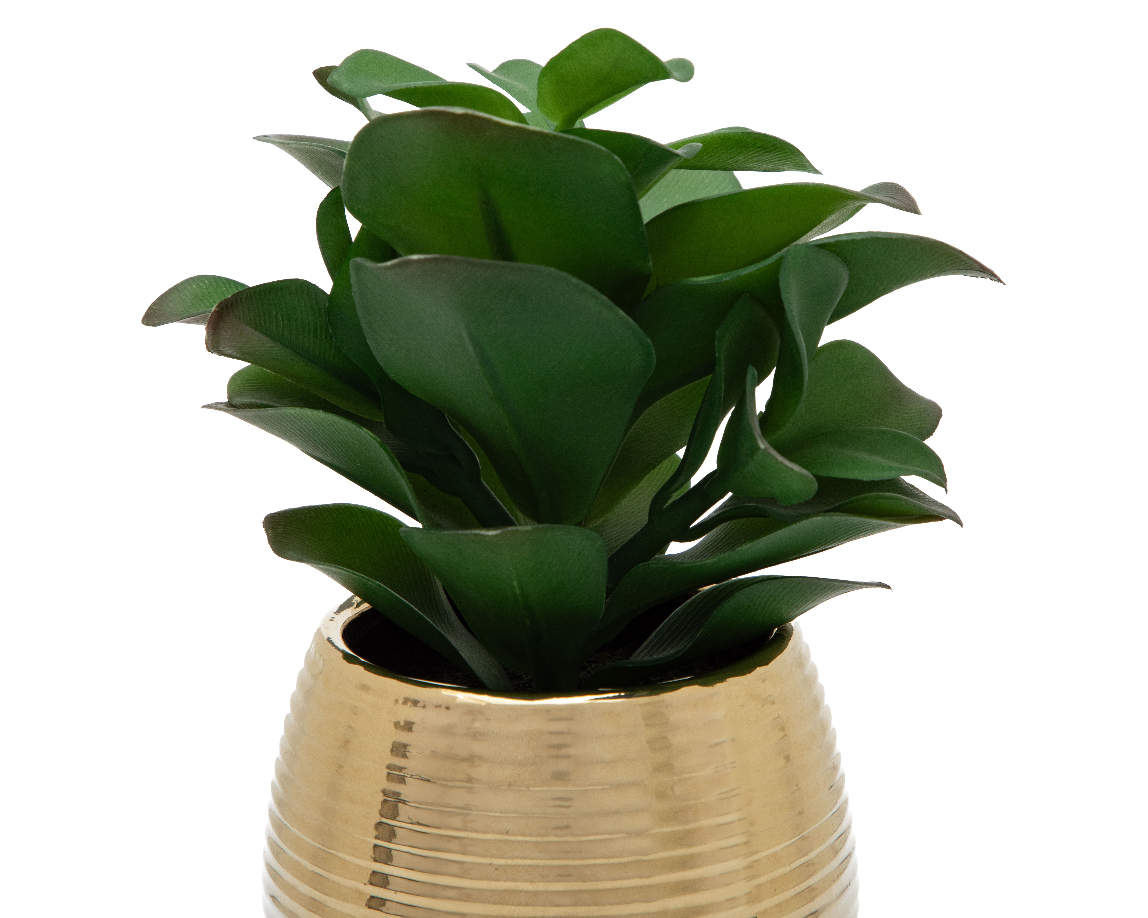 Foto 3 | Foto 3 | Planta Artificial con Maceta Starhaus 15.8 cm