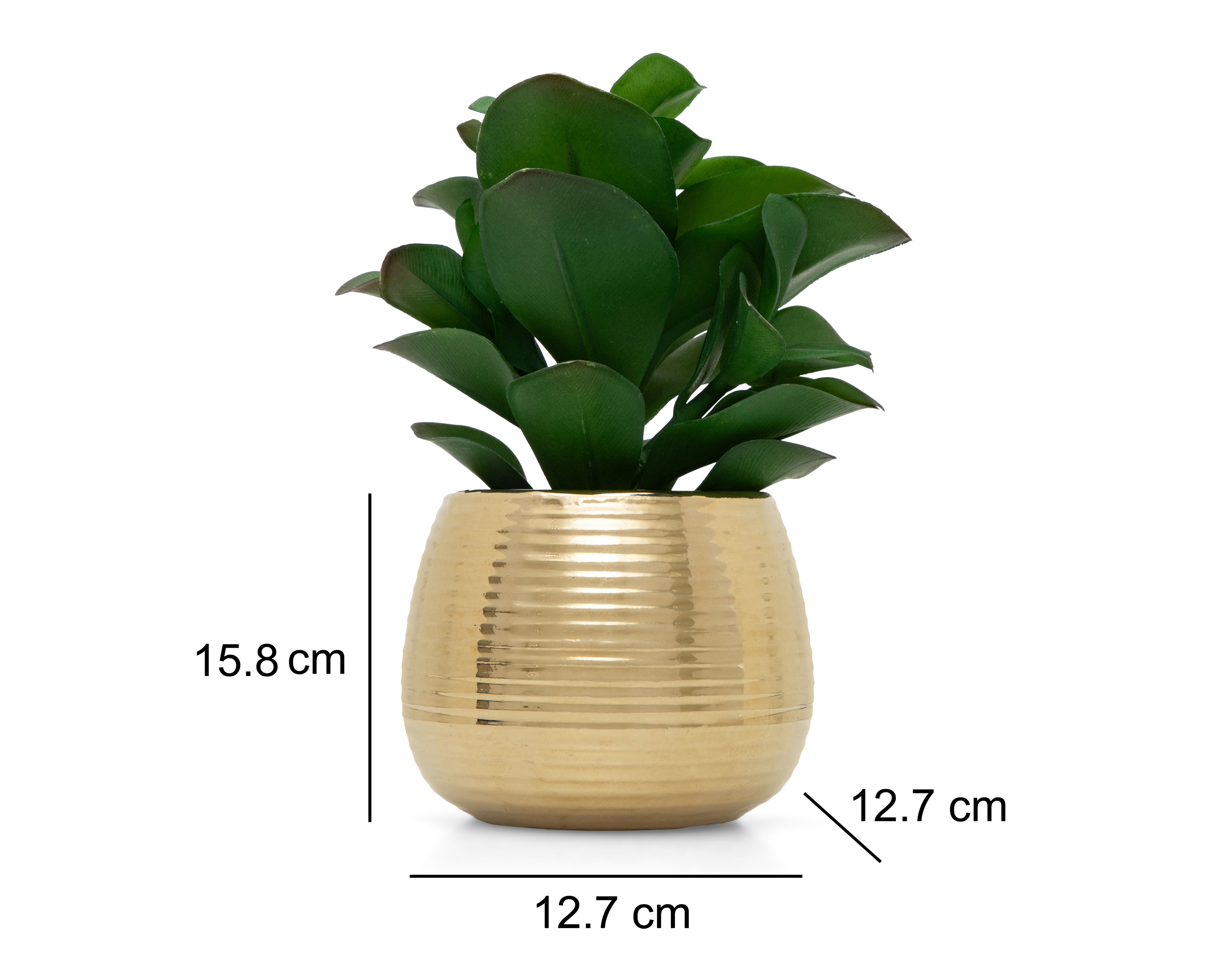 Foto 5 | Foto 5 | Planta Artificial con Maceta Starhaus 15.8 cm