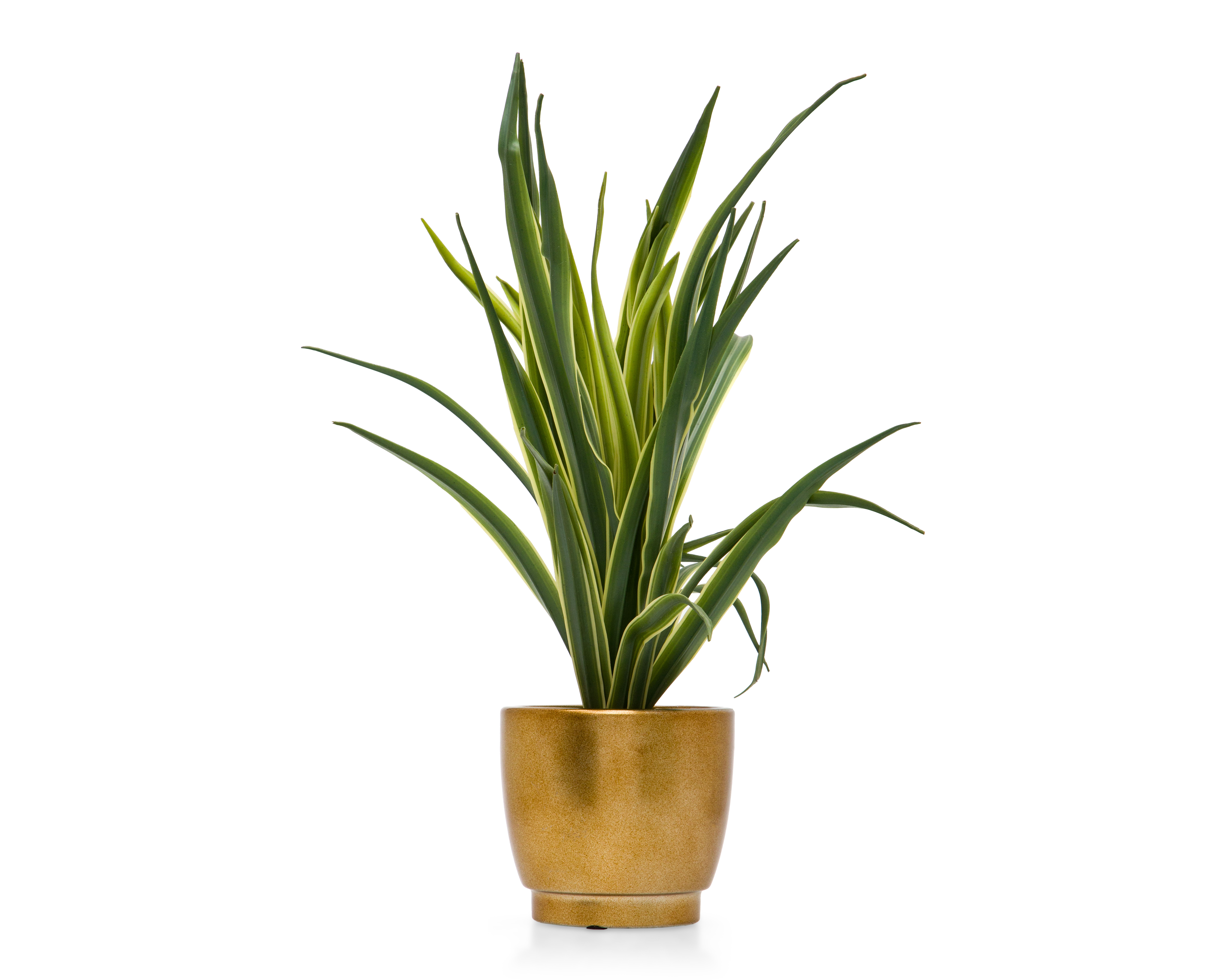Suculenta Artificial con Maceta Starhaus 40 cm