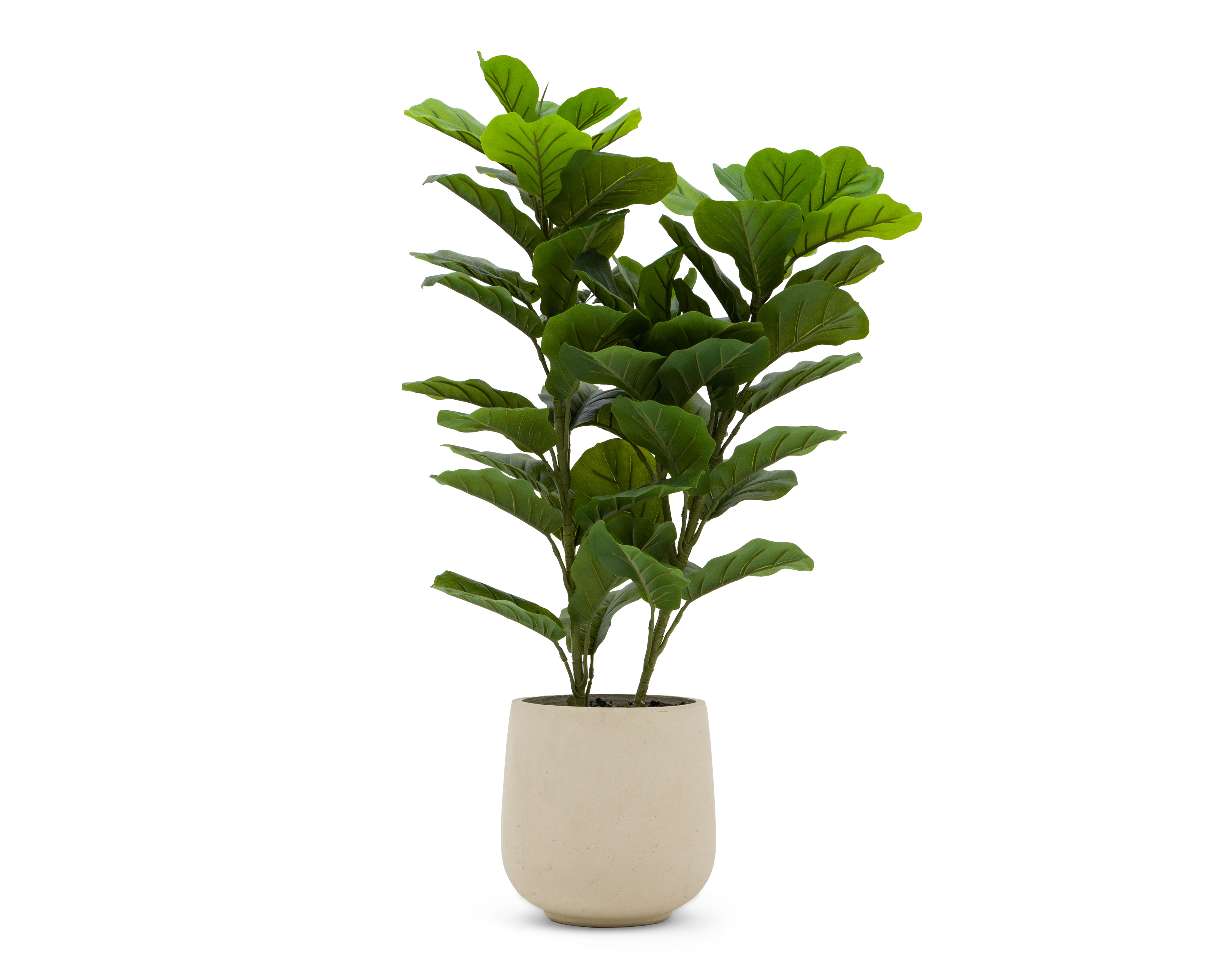 Ficus Artificial con Maceta Starhaus 115 cm