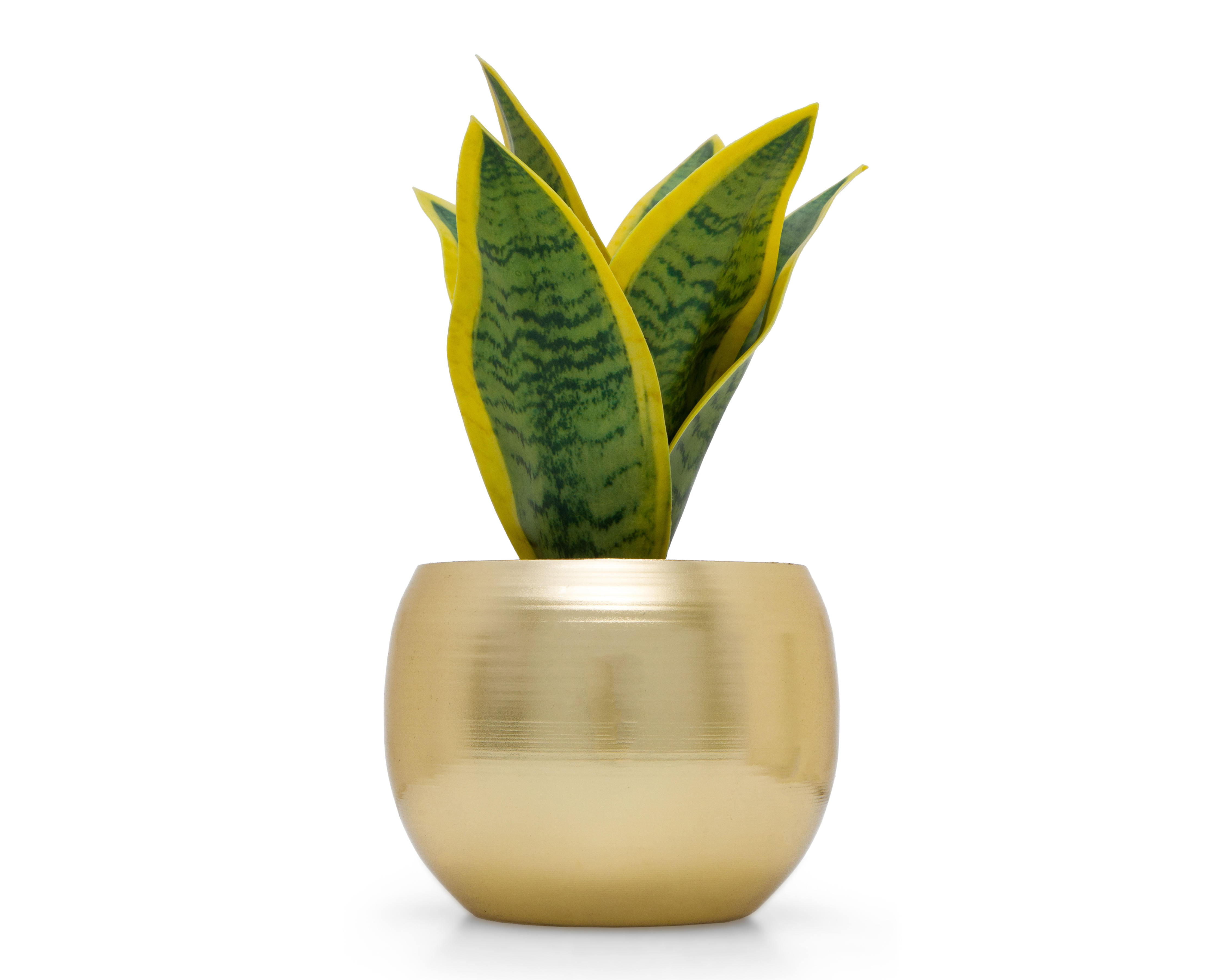Planta Artificial con Maceta Starhaus 18.5 cm
