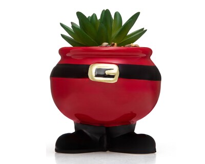 Foto 1 | Foto 1 | Suculenta Artificial con Maceta Starhaus 9 cm