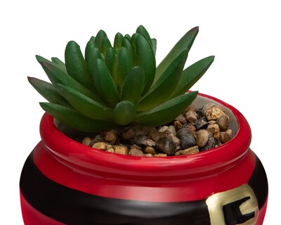 Foto 3 | Foto 3 | Suculenta Artificial con Maceta Starhaus 9 cm