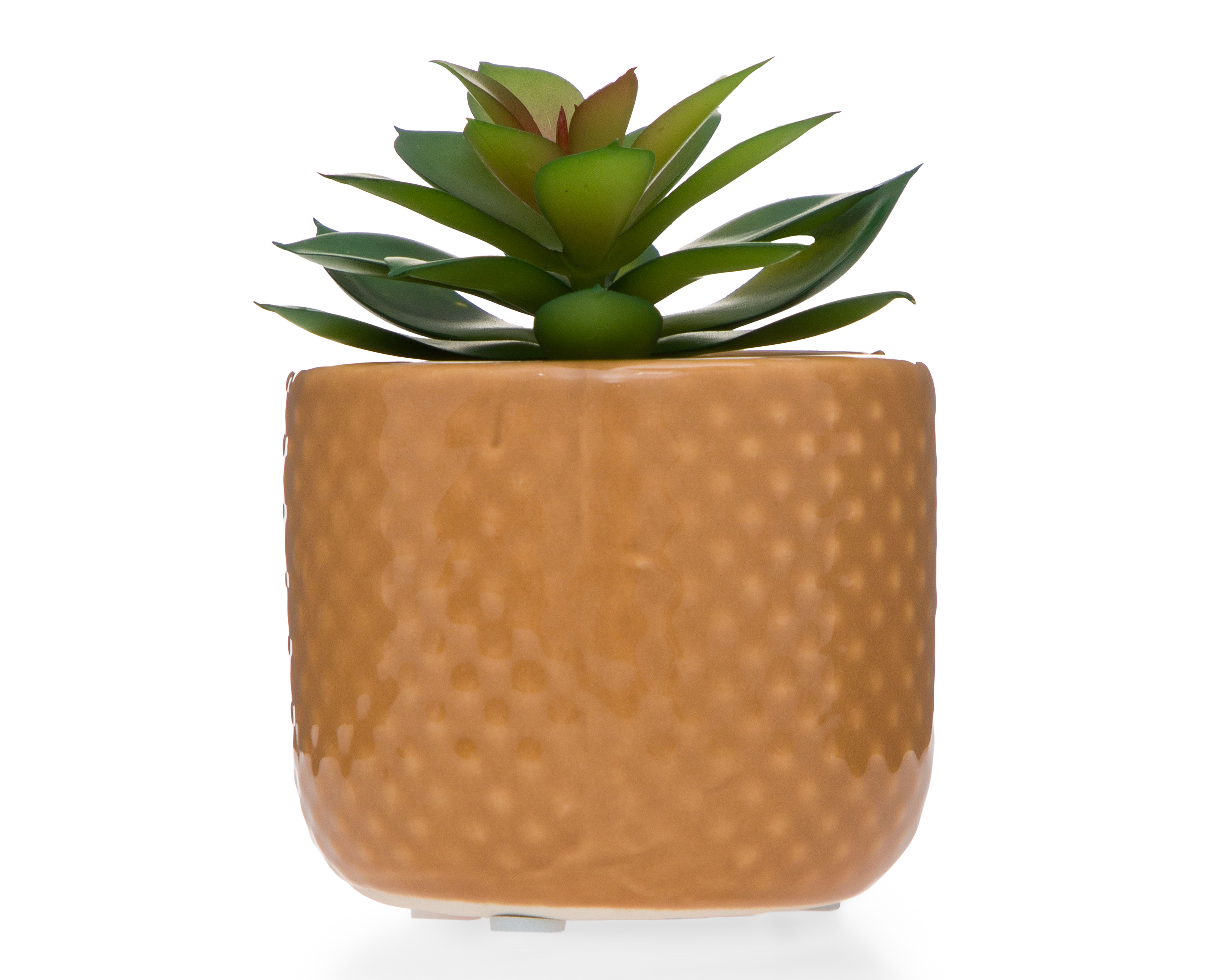 Suculenta Artificial con Maceta Starhaus 12.3 cm